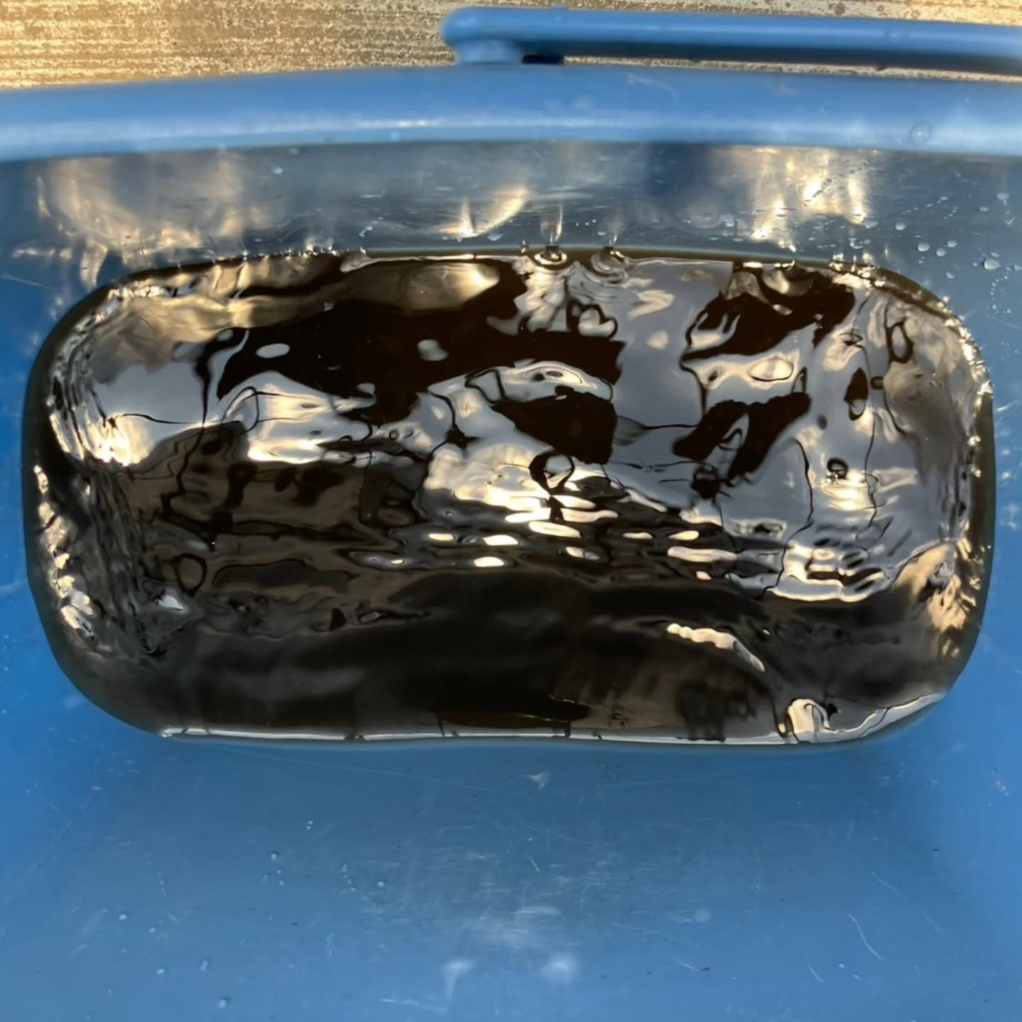 驚きの発見。