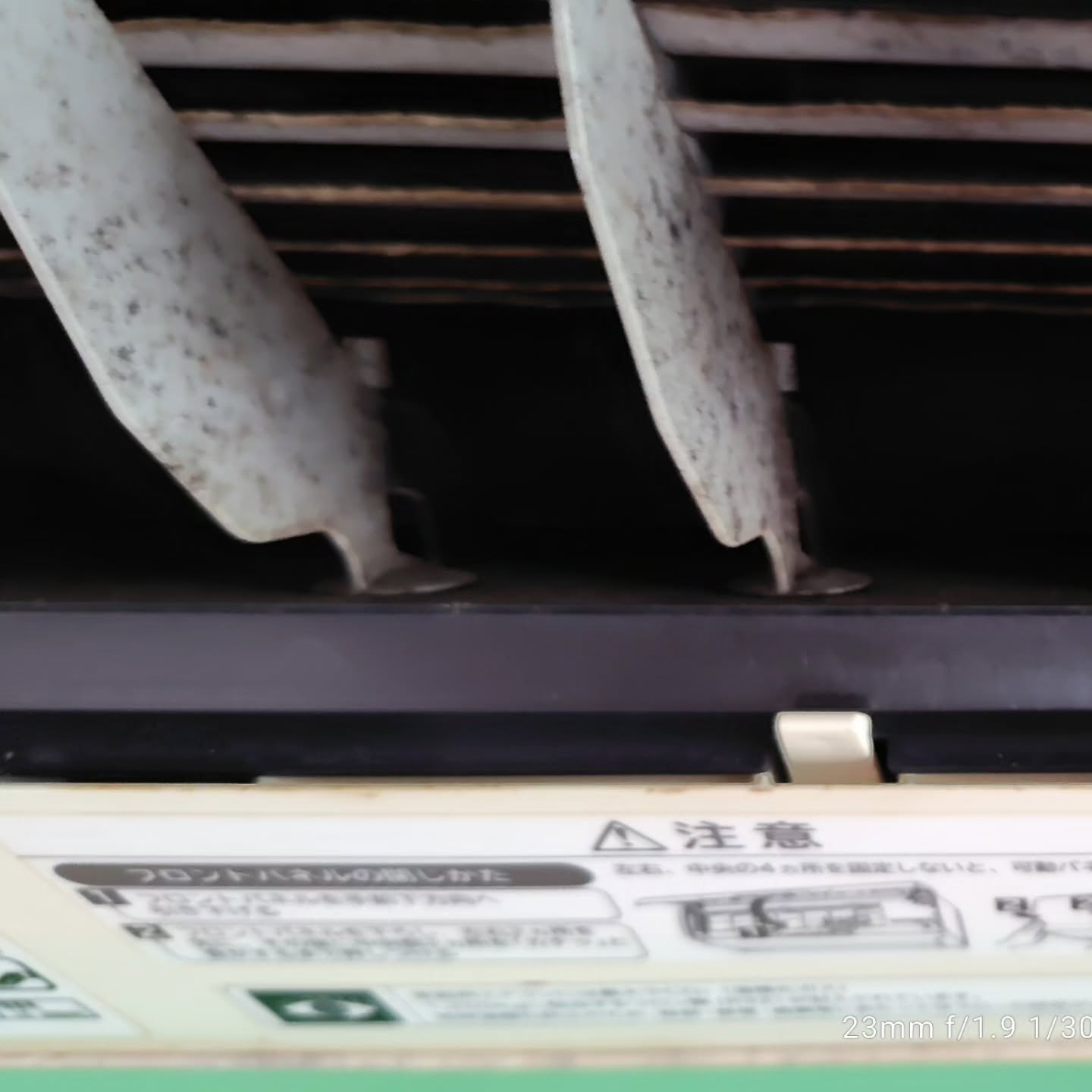 驚きの発見。