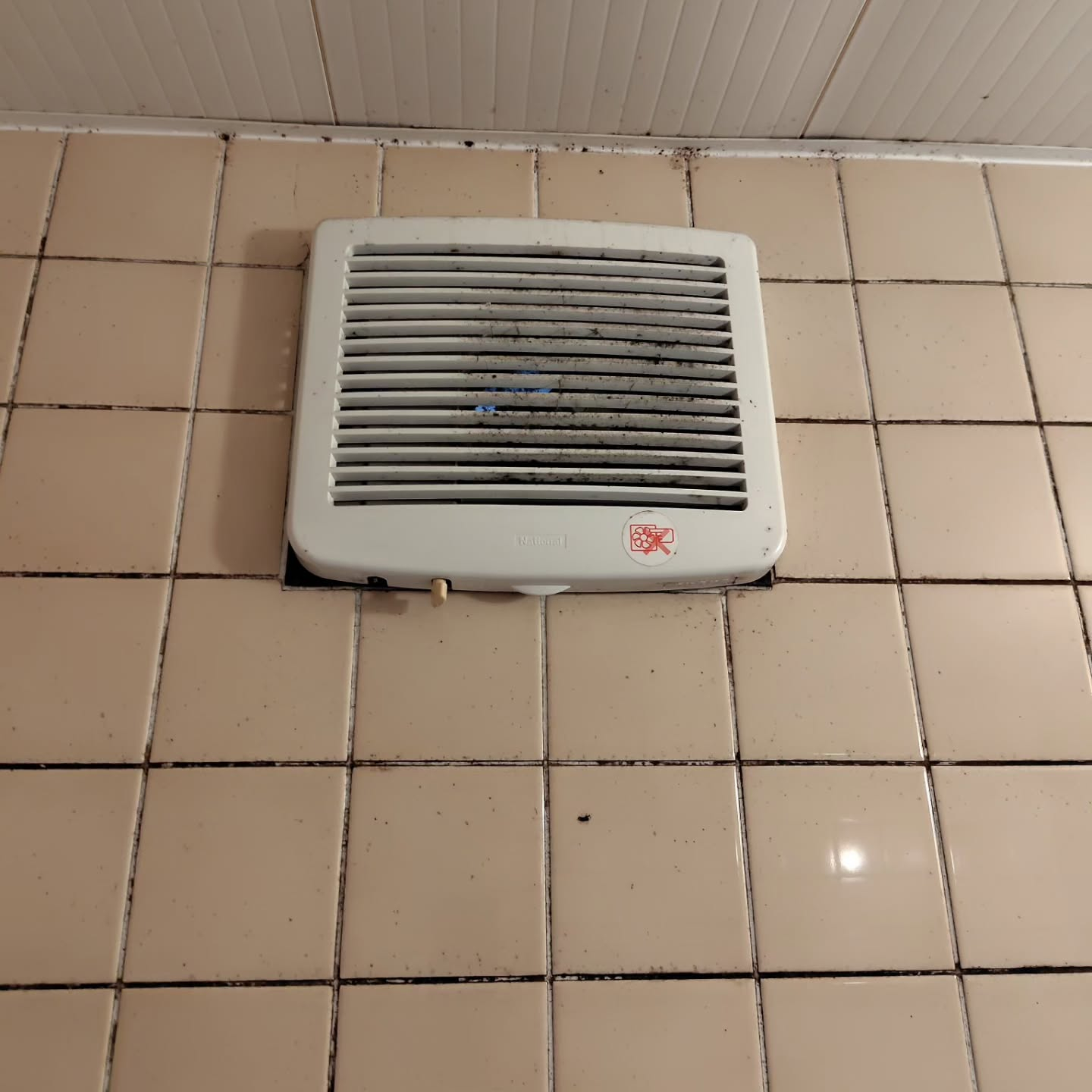 久しぶりに水回りの清掃を行いました。