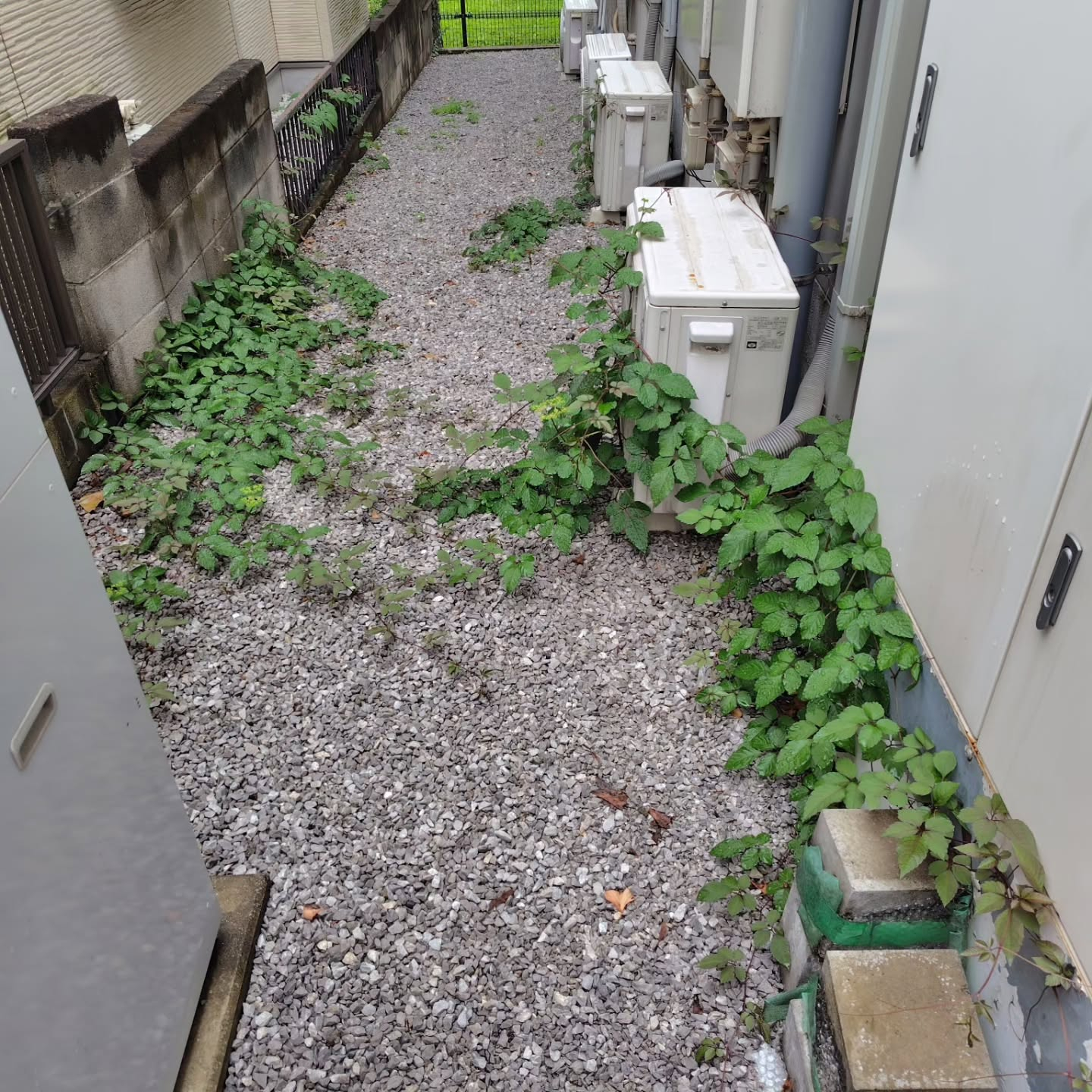 久しぶりの定期清掃日です。