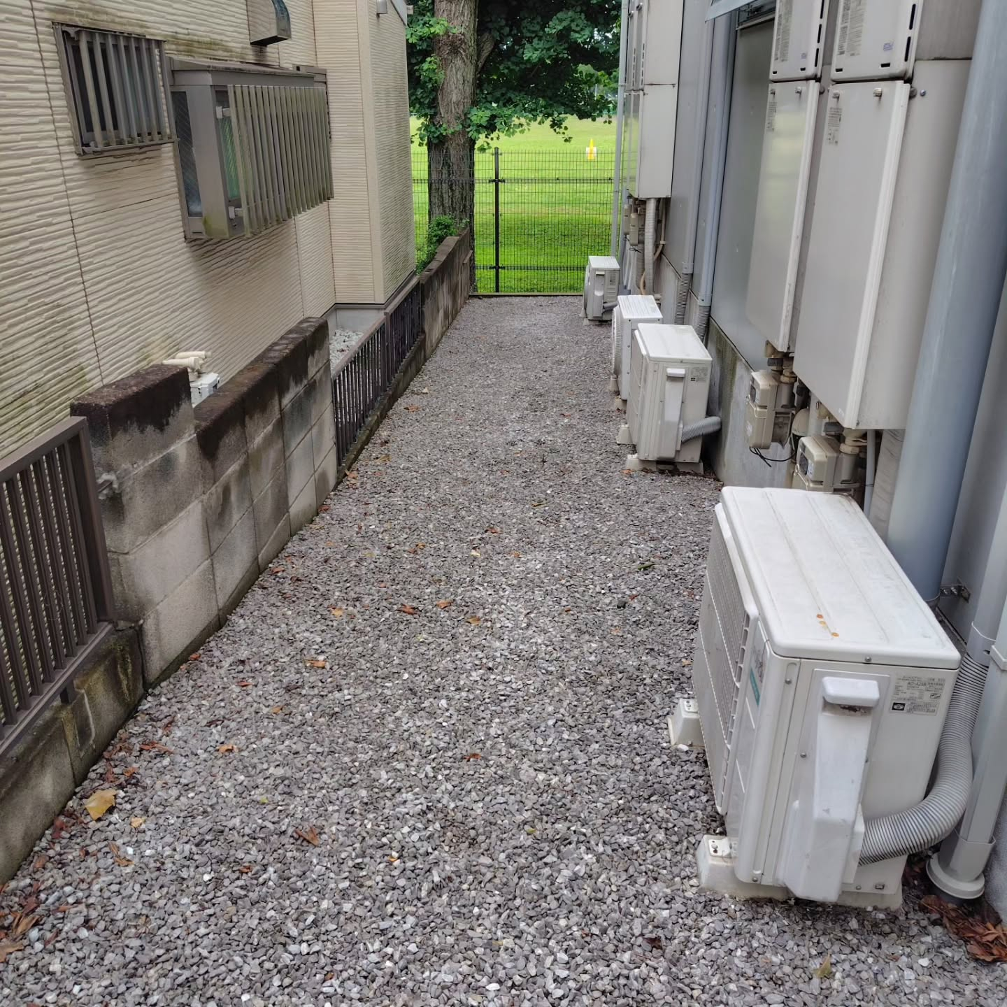 久しぶりの定期清掃日です。