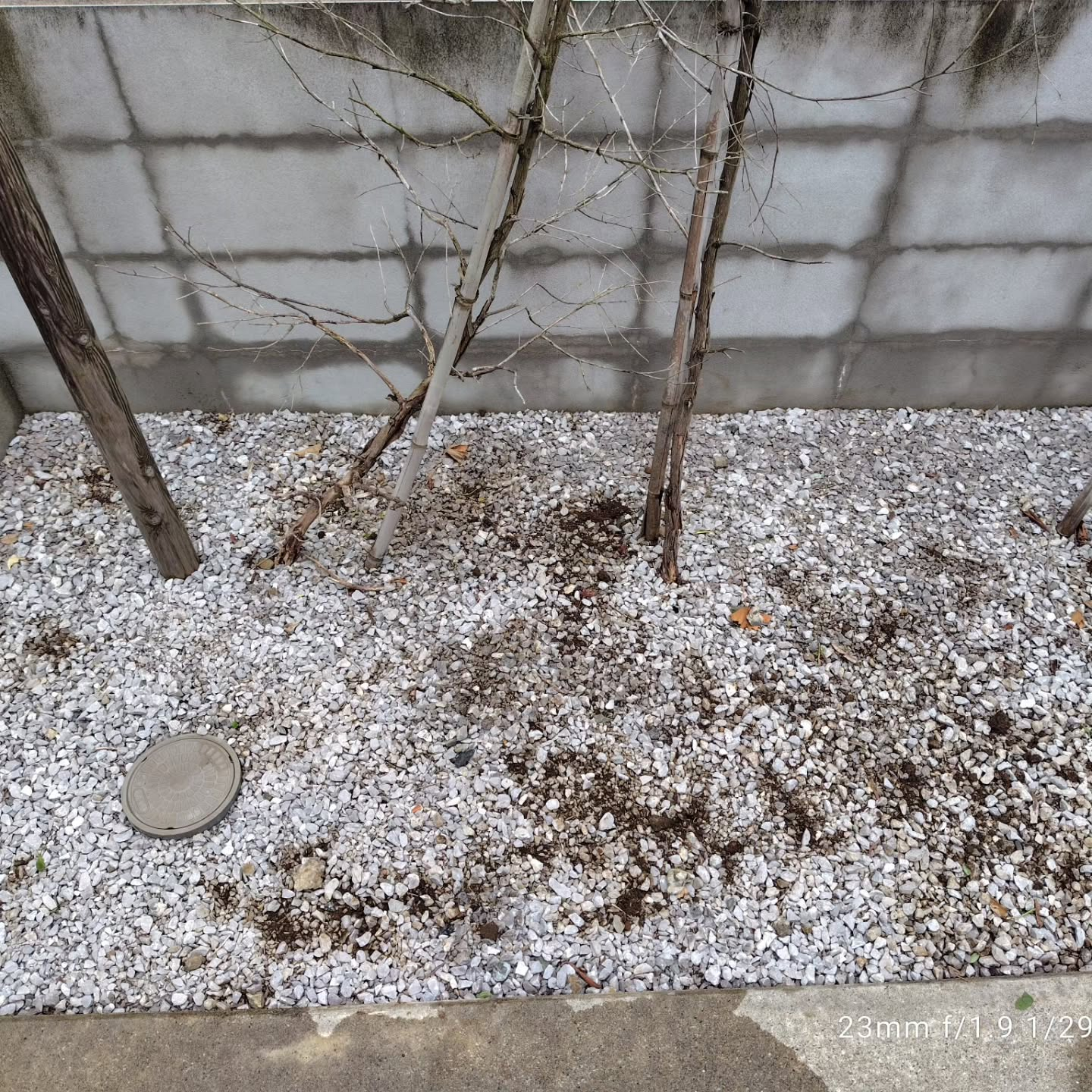 久しぶりの定期清掃日です。