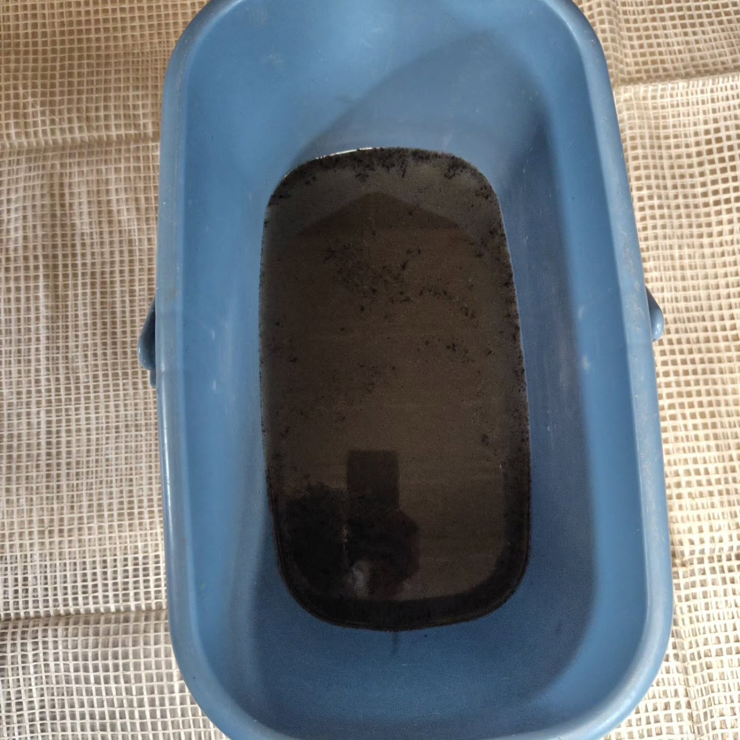 ご紹介ありがとうございます。
