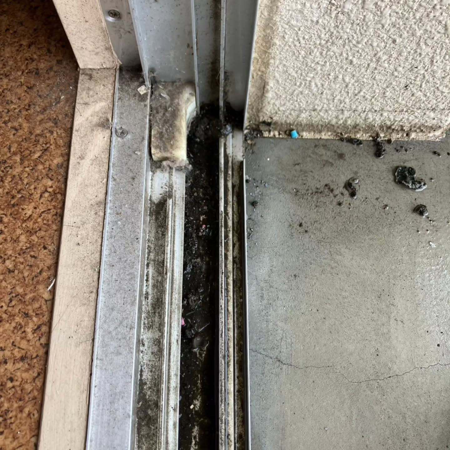 きれいな景観、空気も一新。