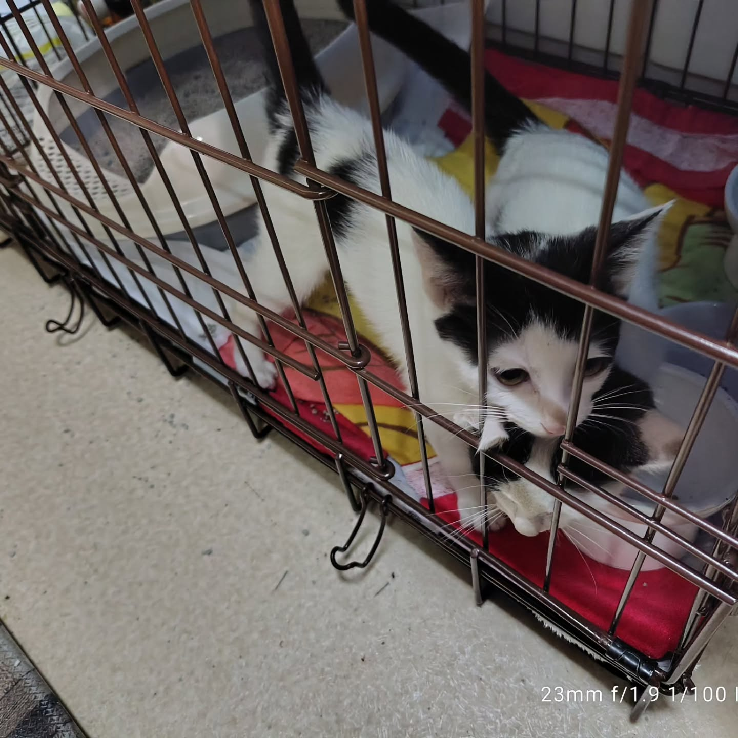 小さな命との新たなスタート!
