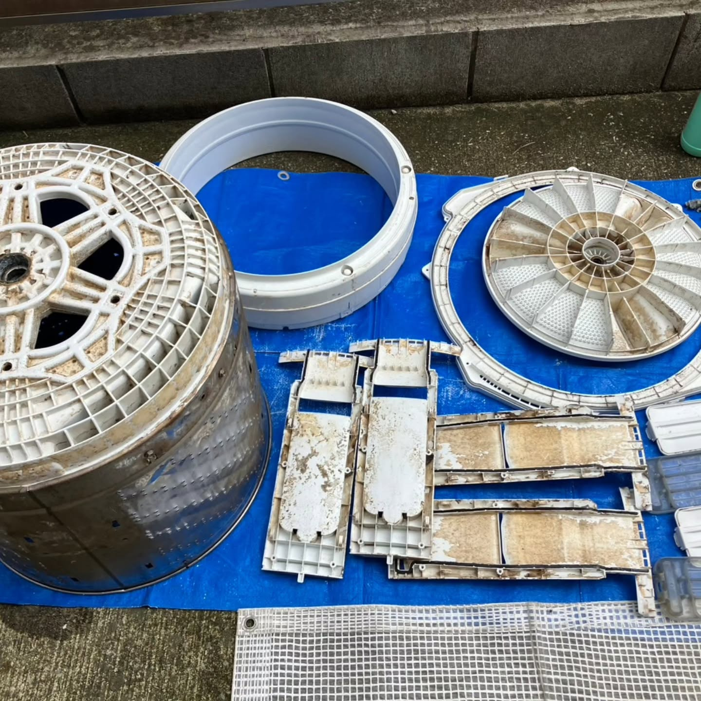 今日は洗濯機クリーニングの現場から。