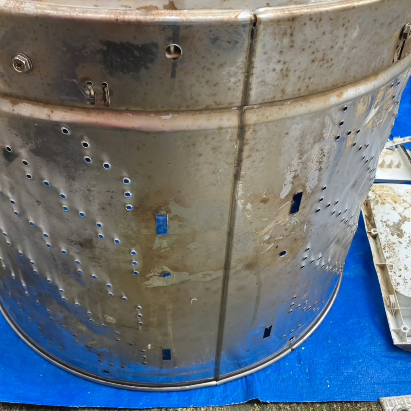 今日は洗濯機クリーニングの現場から。