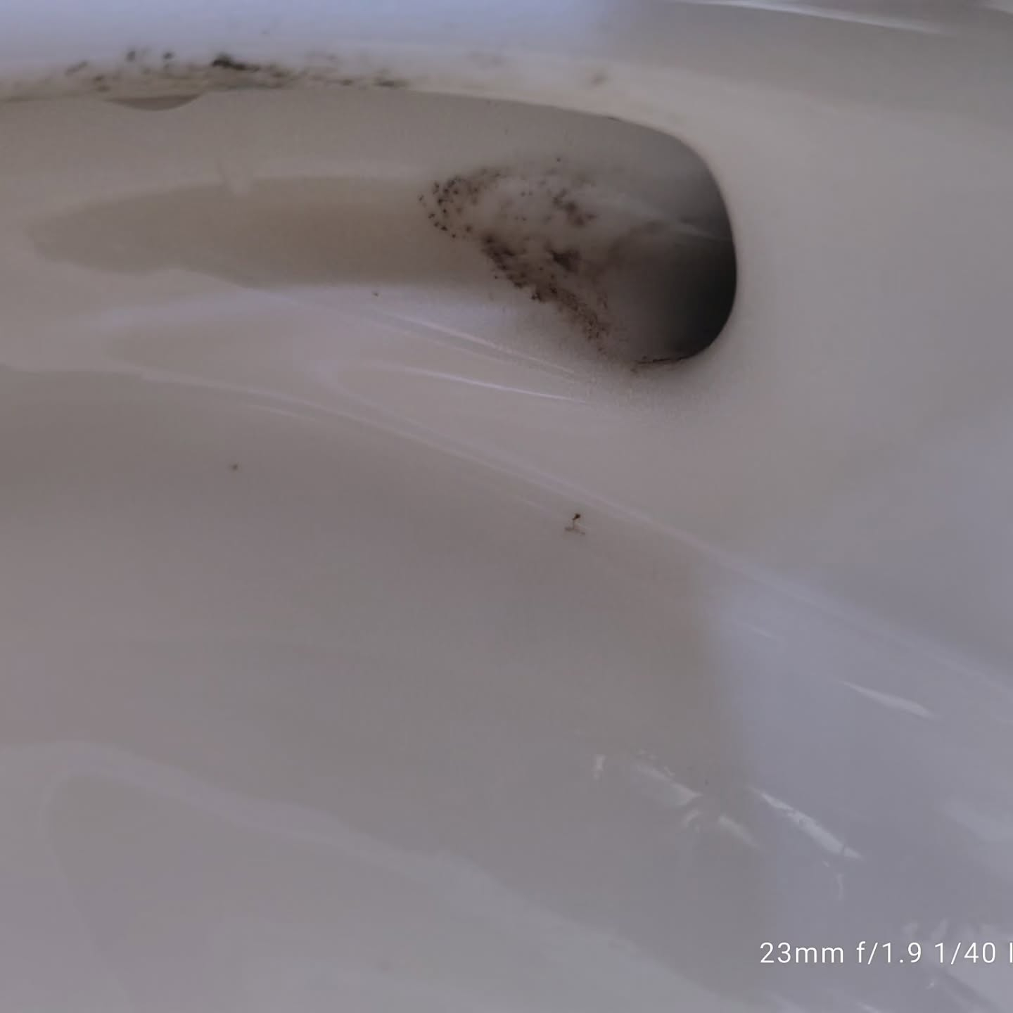 見えないところに潜むカビの危険
