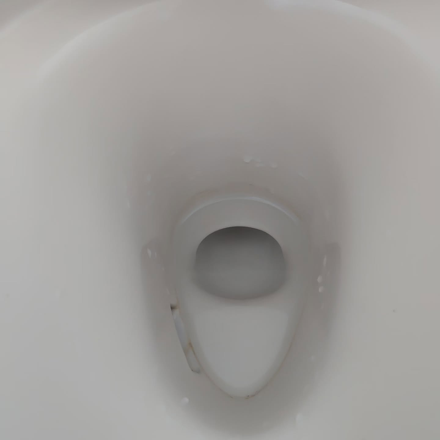 見えないところに潜むカビの危険