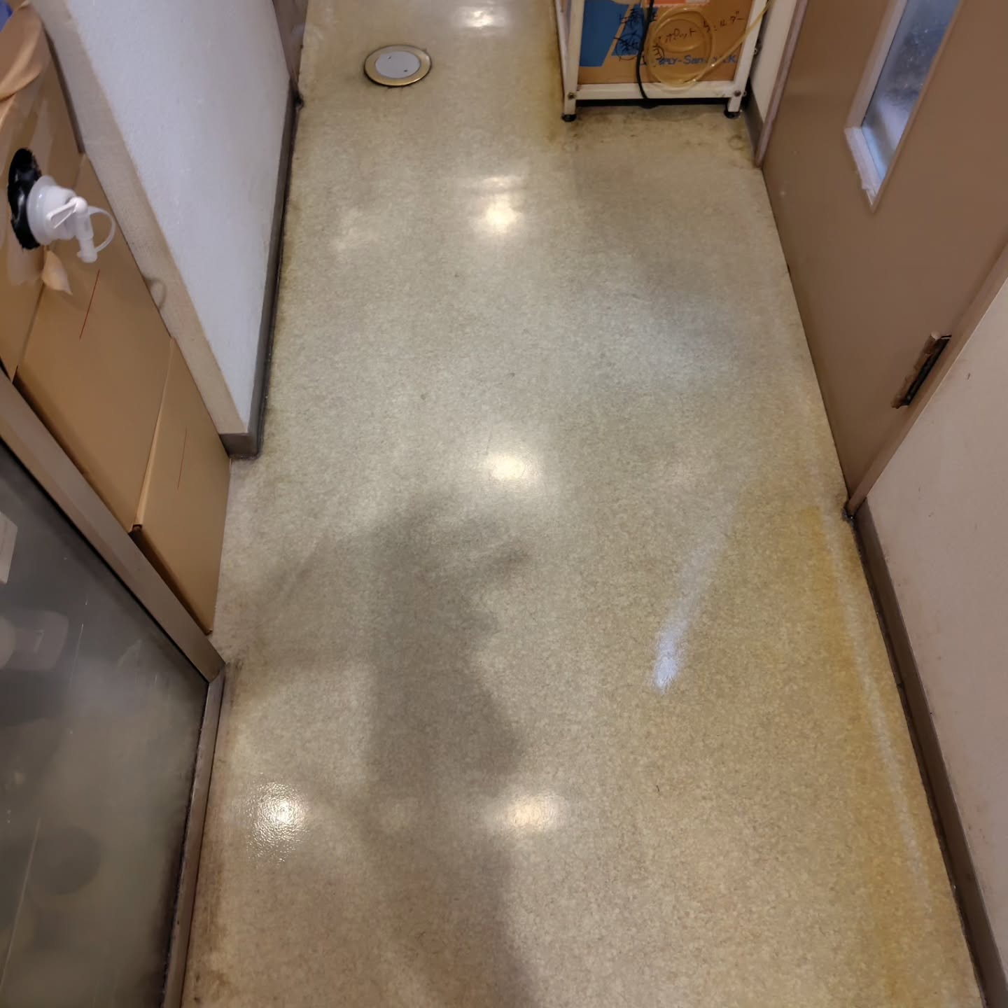 本日は定期的なクリニックの床の清掃日です。