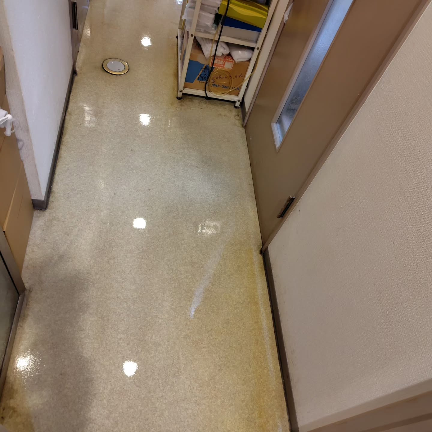 本日は定期的なクリニックの床の清掃日です。