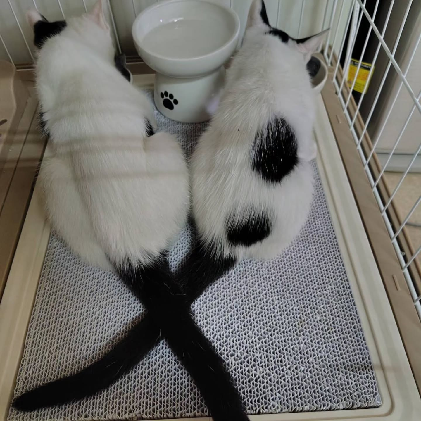 朝から元気いっぱいです。