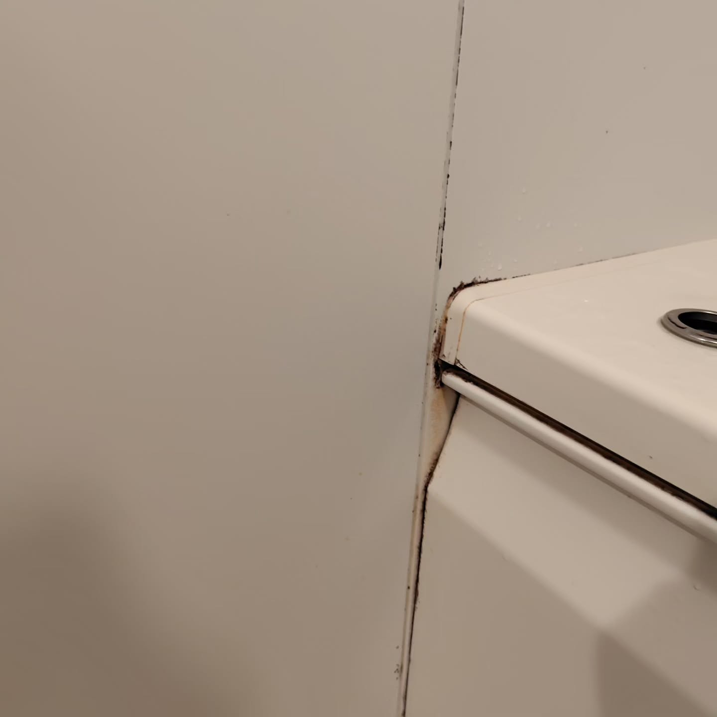 カビ対策、お済みですか？