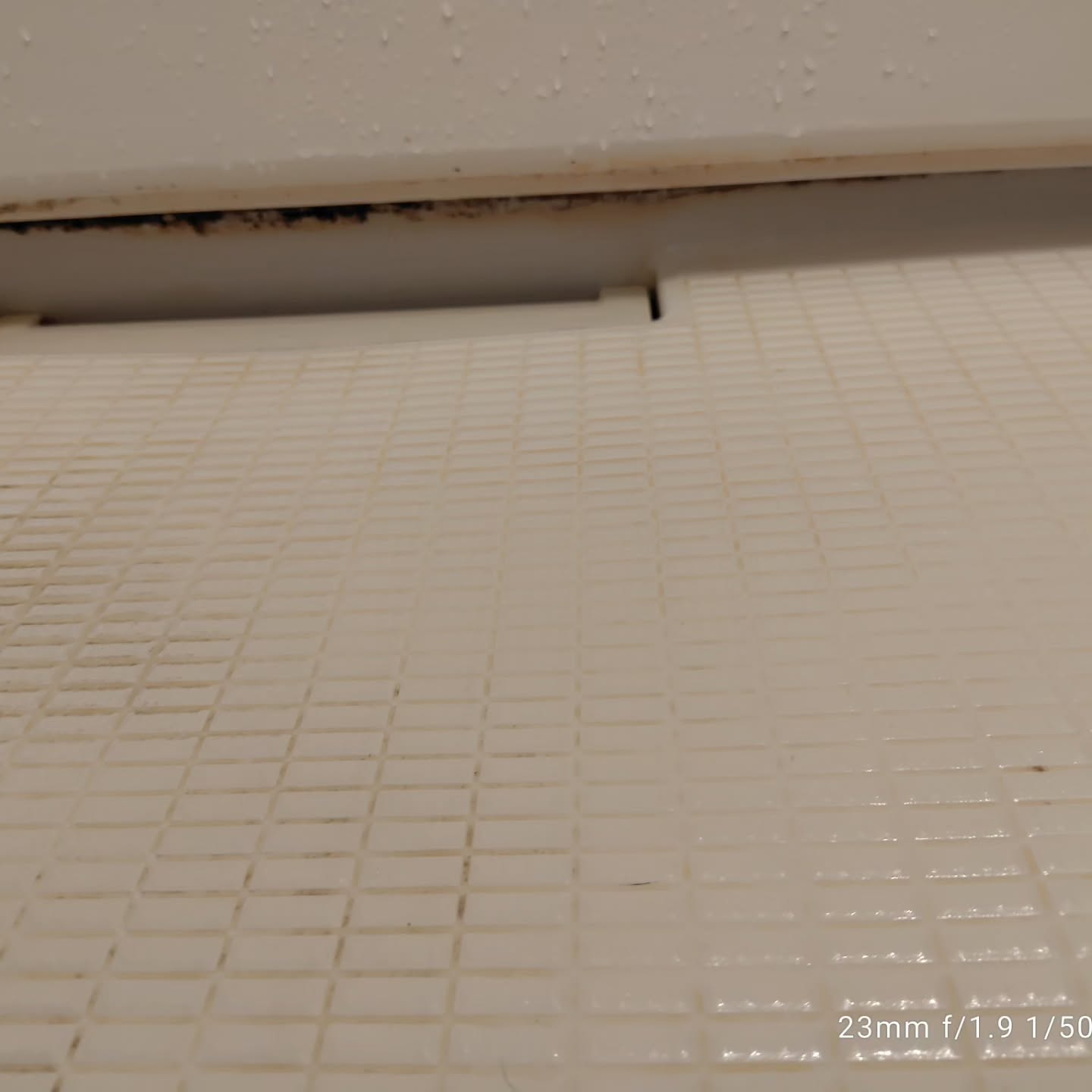 カビ対策、お済みですか？