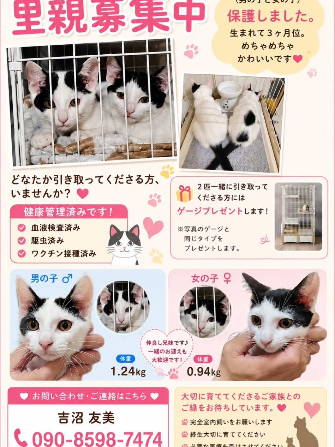 小さな命に新しい希望を。