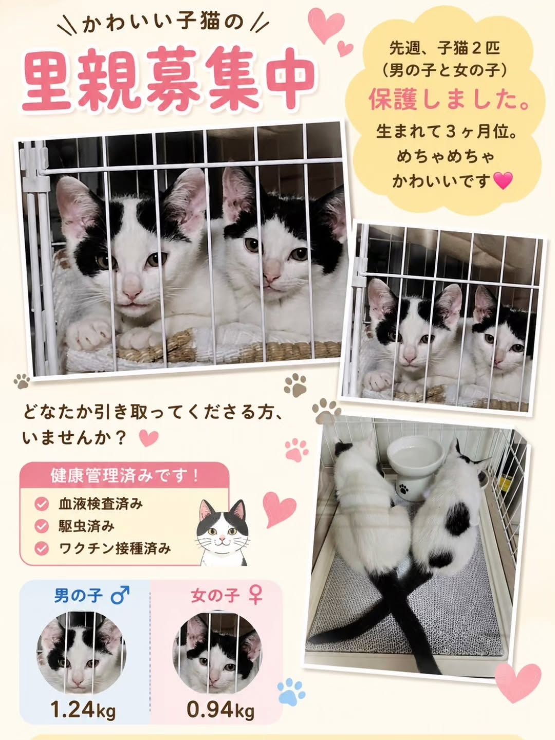 小さな命に新しい希望を。