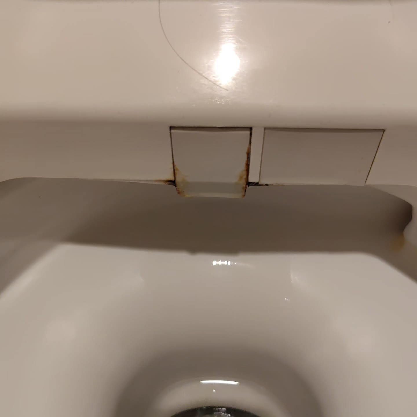 プロのお手入れをご依頼ください。