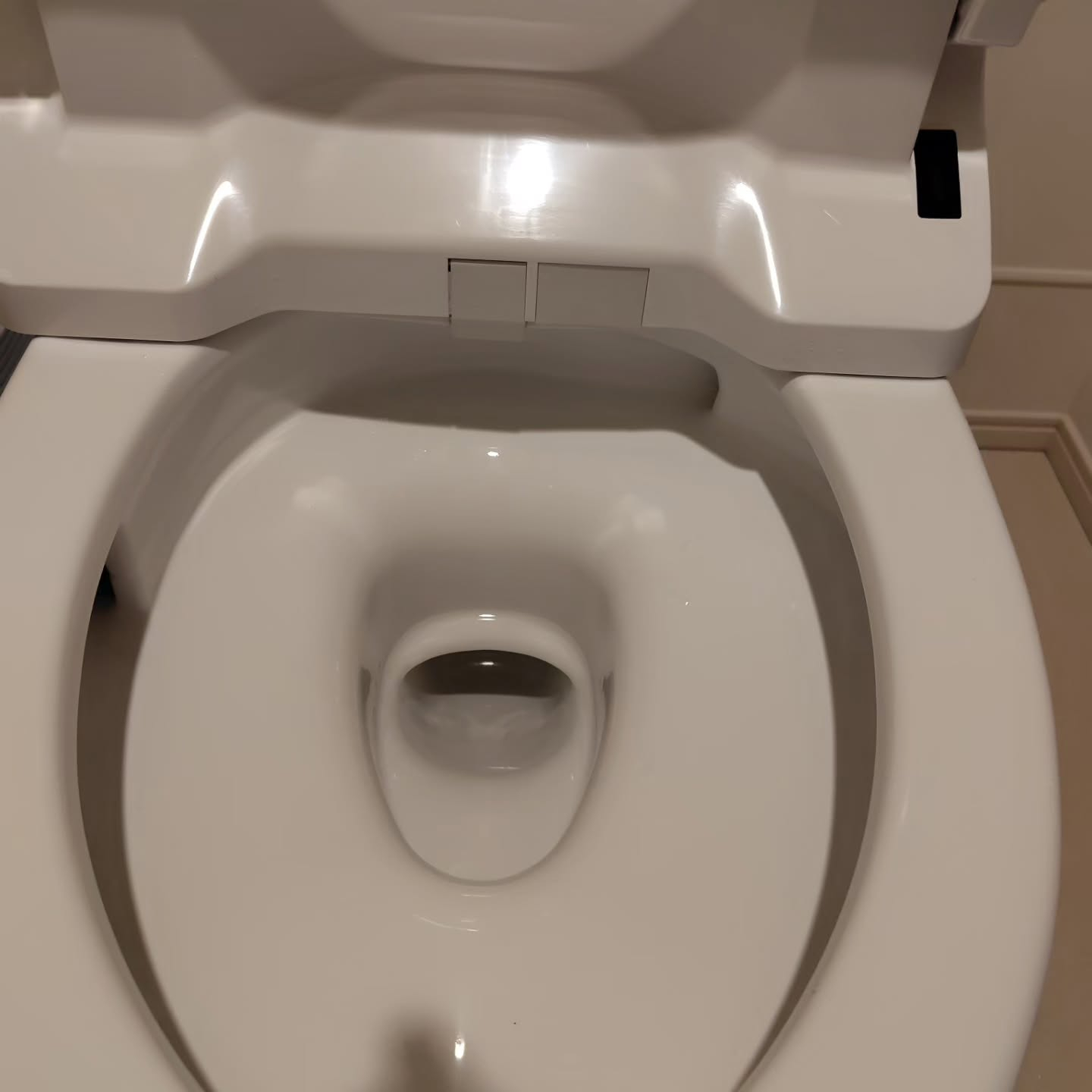 プロのお手入れをご依頼ください。