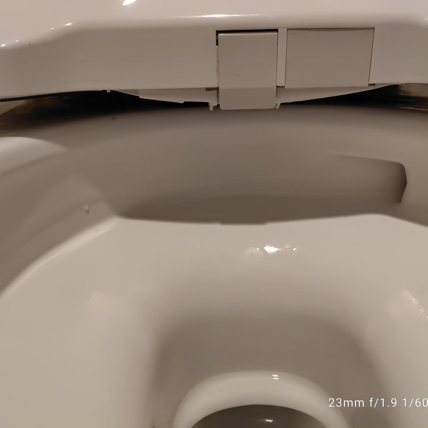プロのお手入れをご依頼ください。