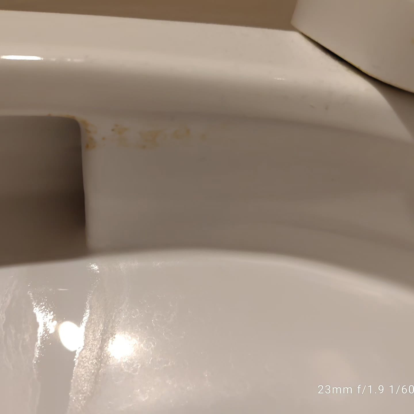 プロのお手入れをご依頼ください。