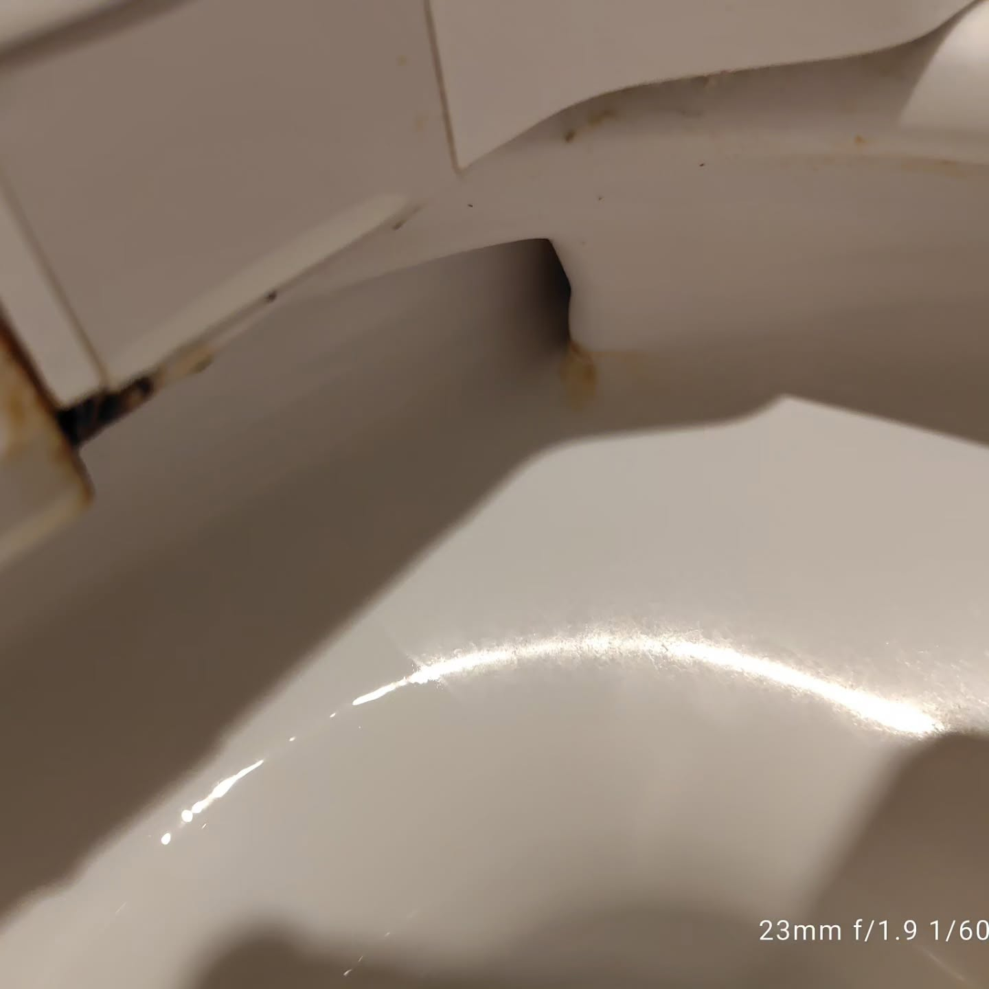 プロのお手入れをご依頼ください。
