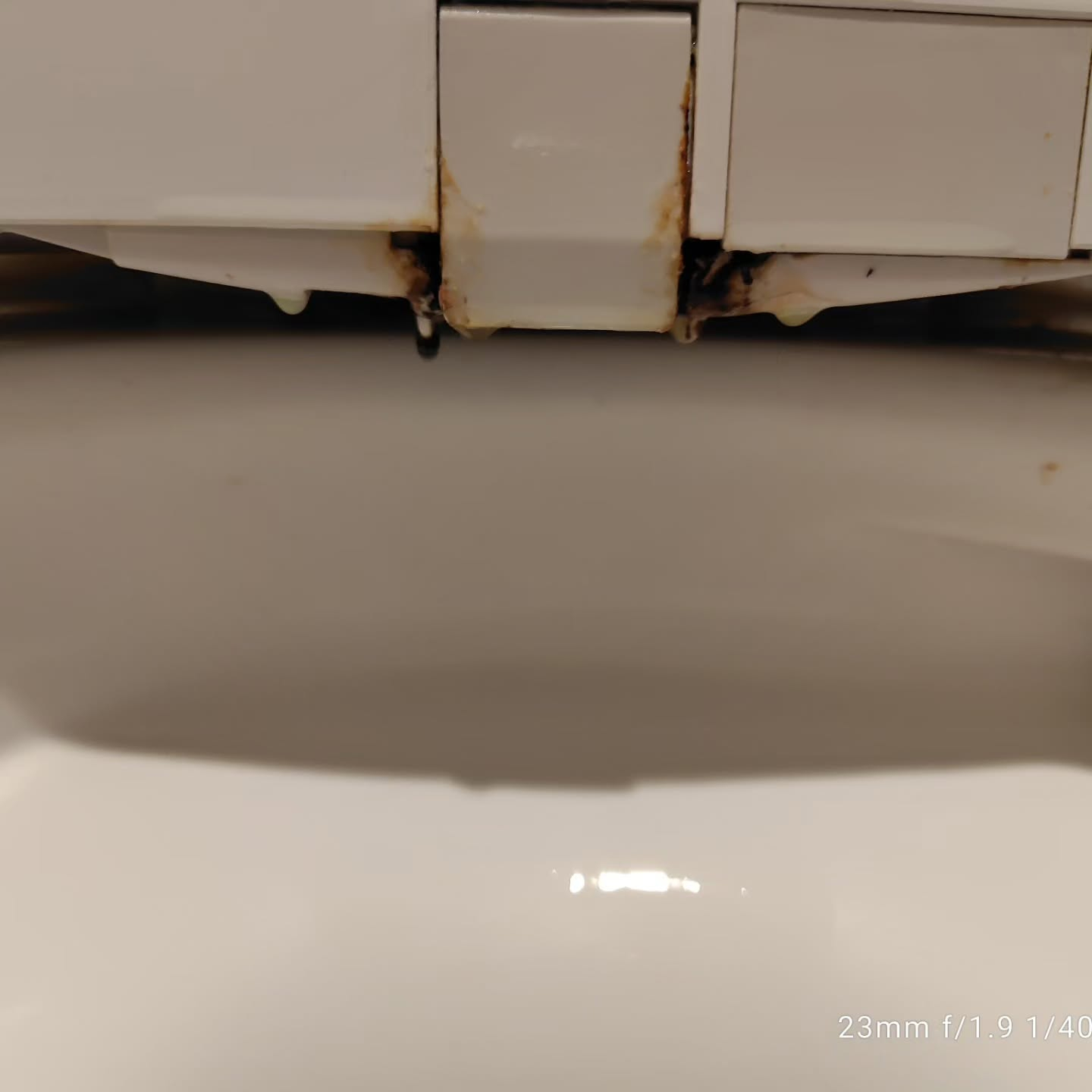 プロのお手入れをご依頼ください。