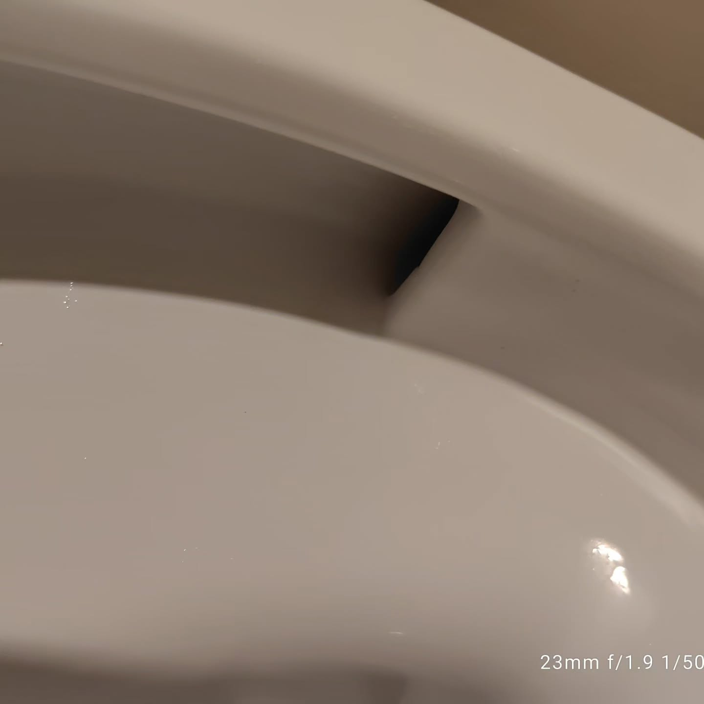 プロのお手入れをご依頼ください。