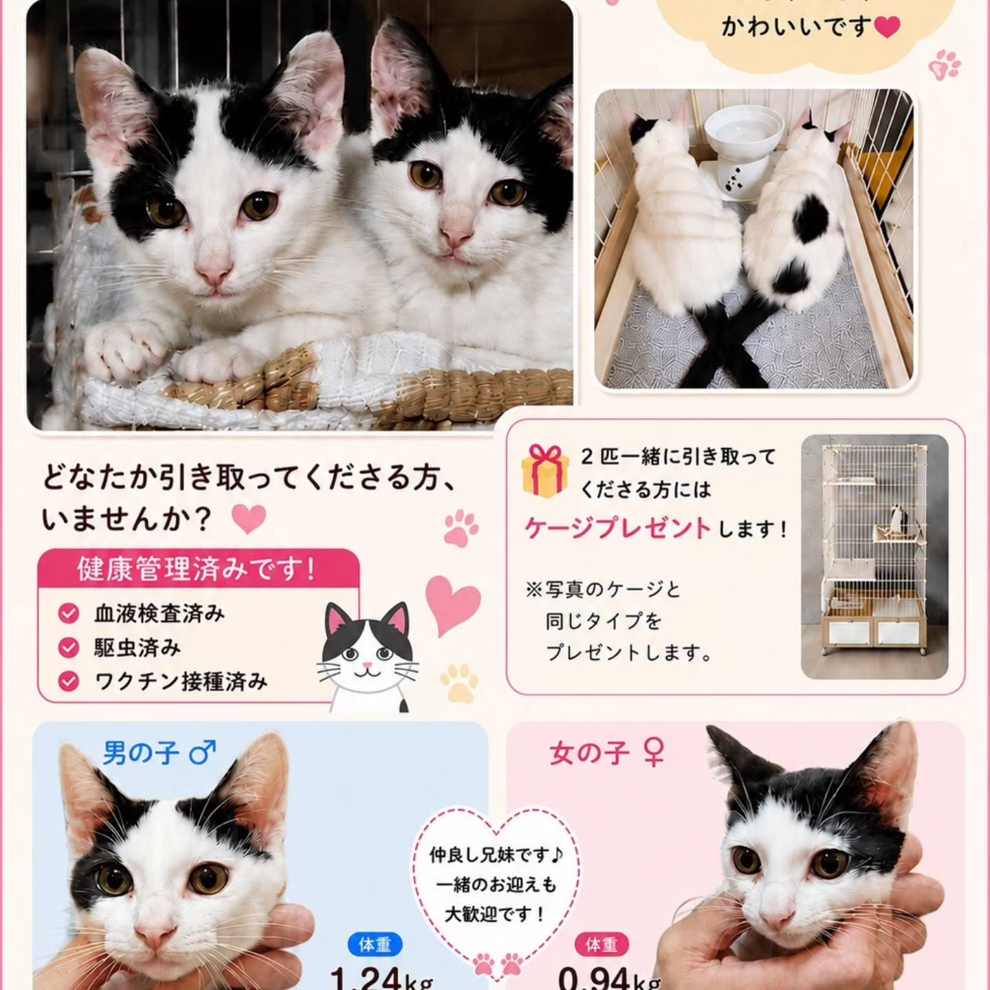 ちょうど2週間が過ぎました。