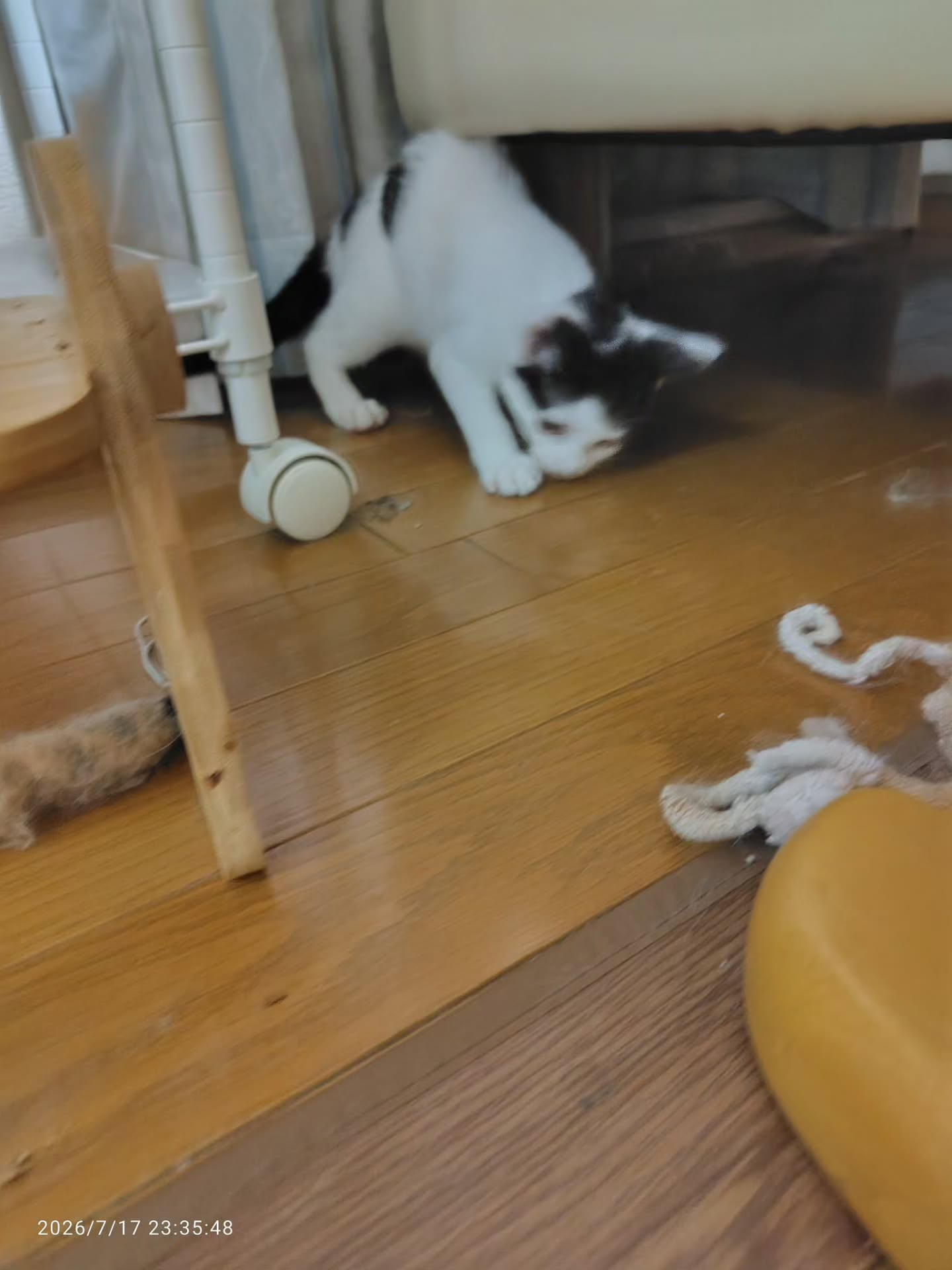 嬉しいお知らせがあります!