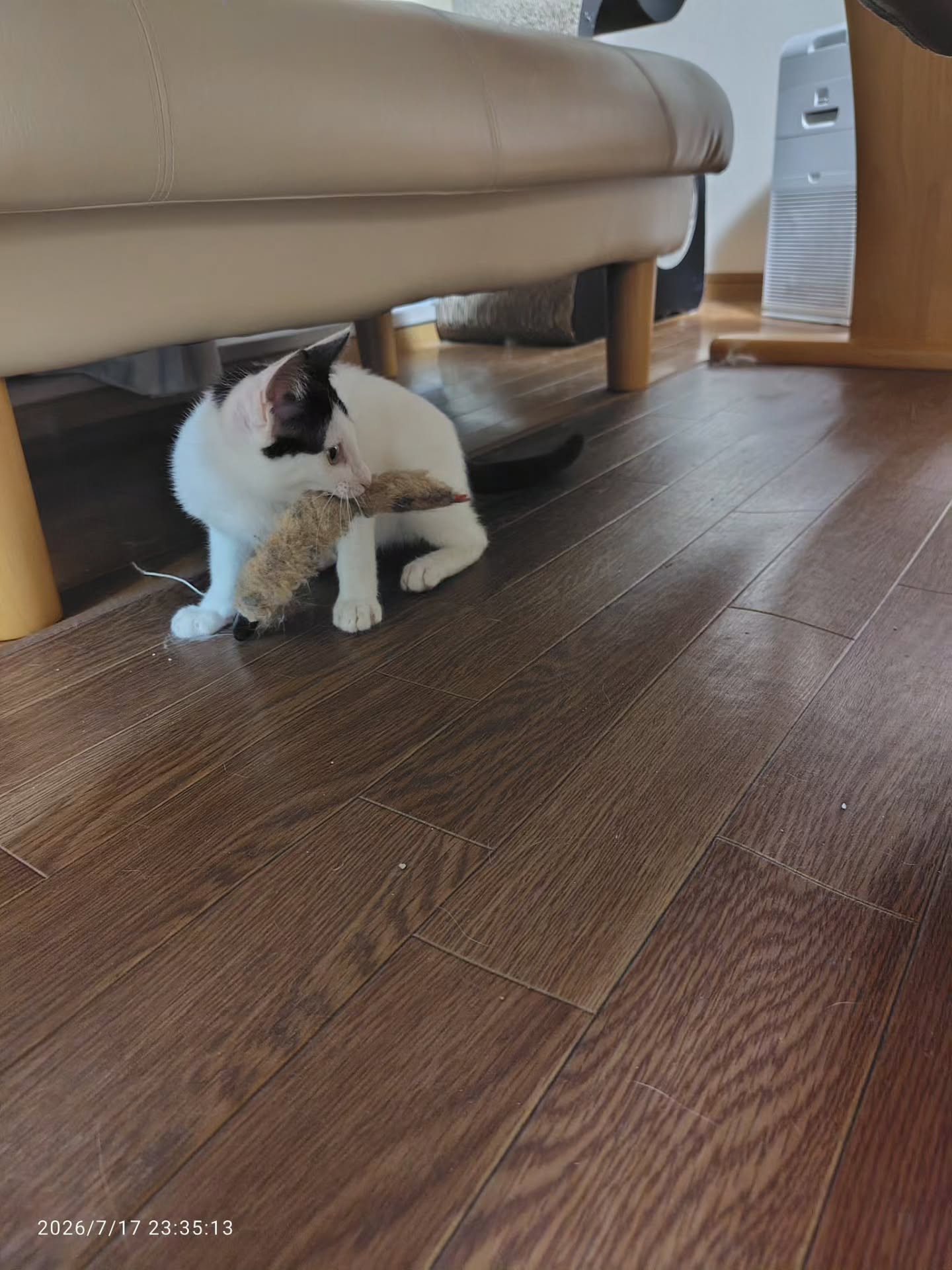 嬉しいお知らせがあります!