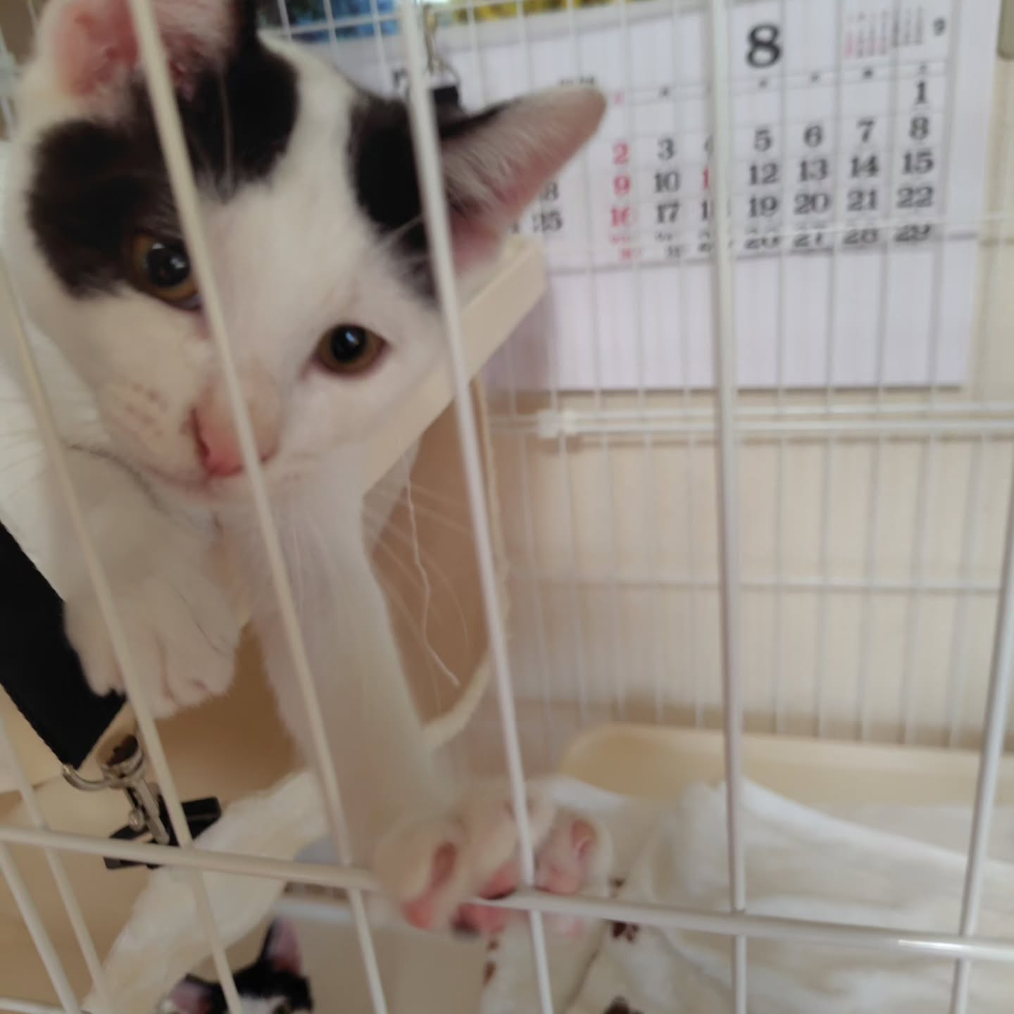 今日も元気いっぱいの朝です。