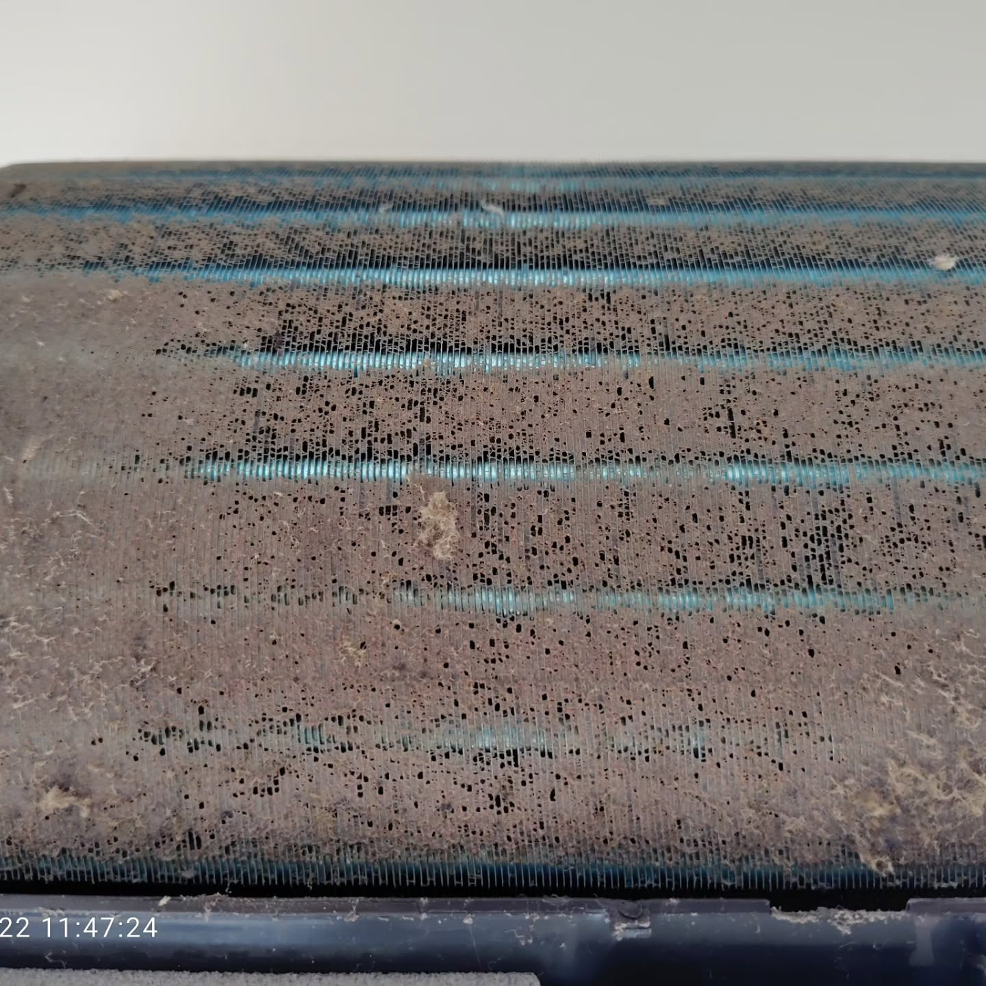 定期的なメンテナンスで効果を実感。