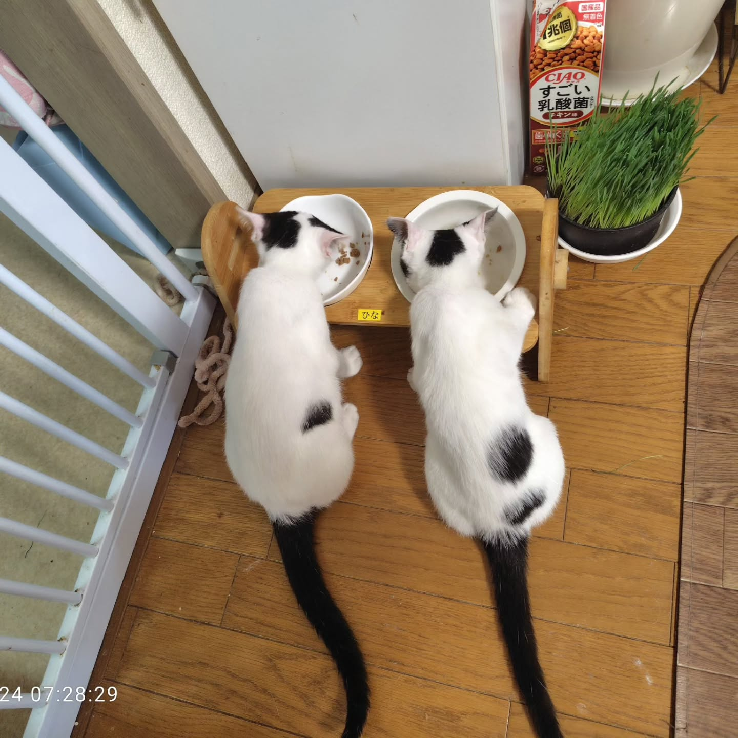 新しい一日が始まります。