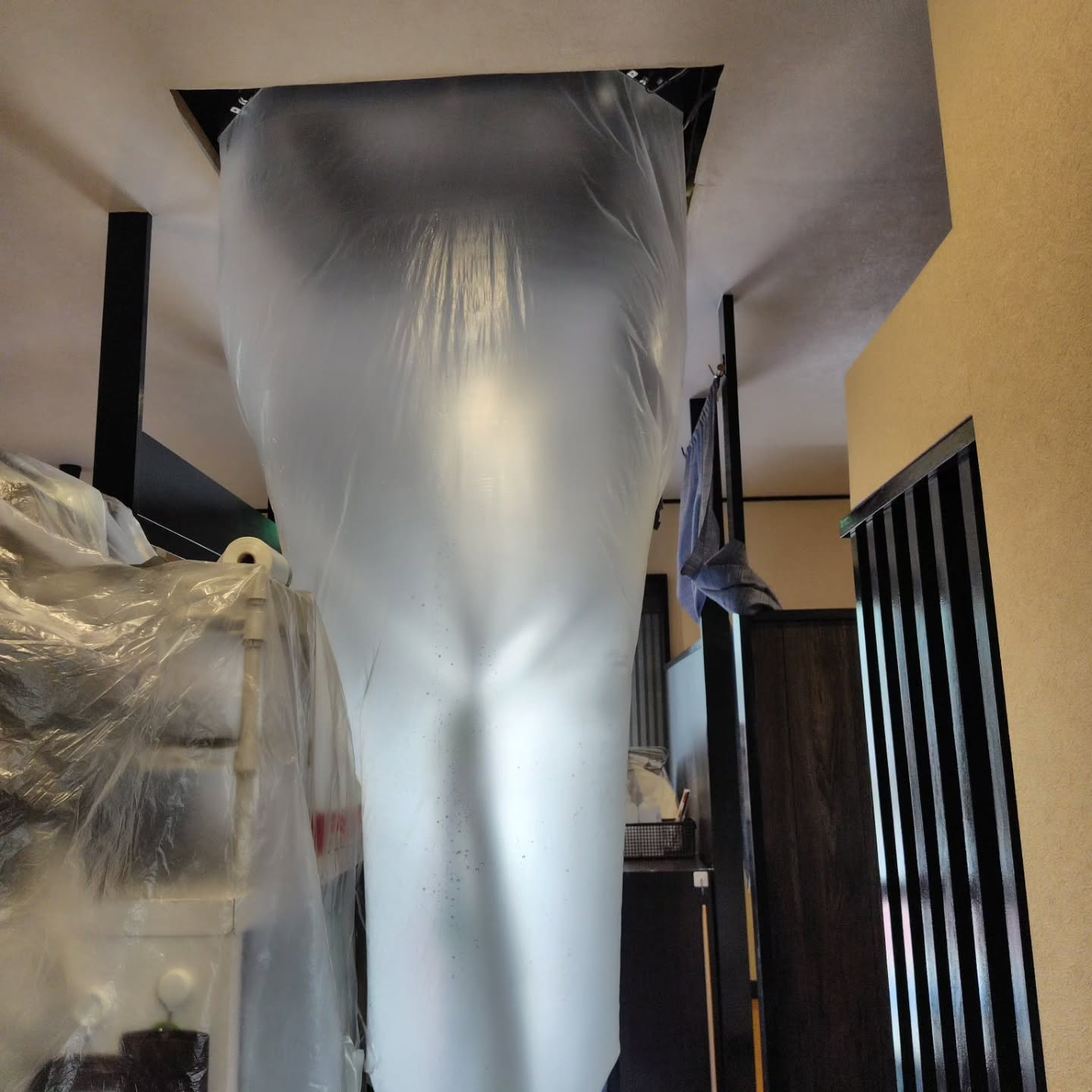 新しい空気でリフレッシュ！