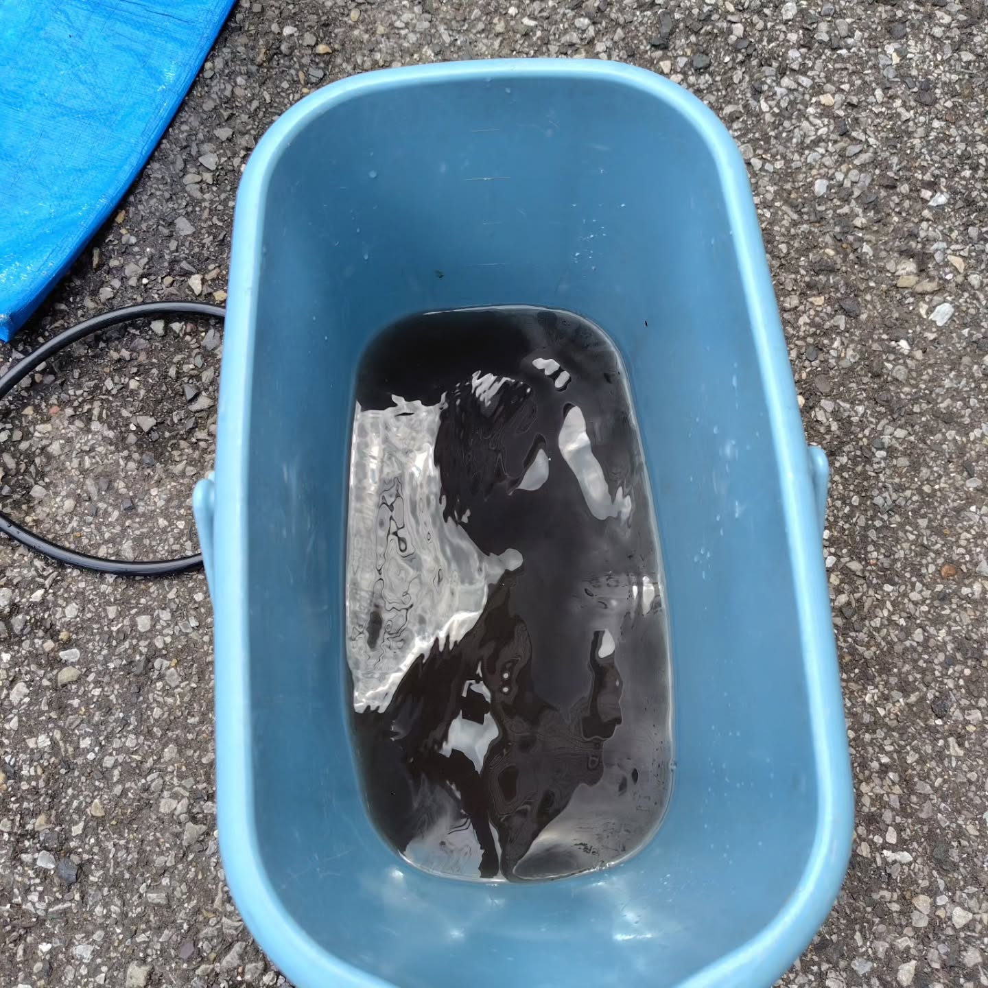 新しい空気でリフレッシュ！