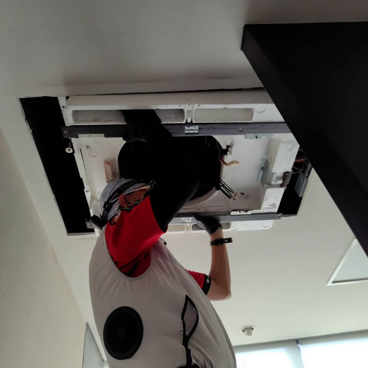 清掃直後の爽やかさ。