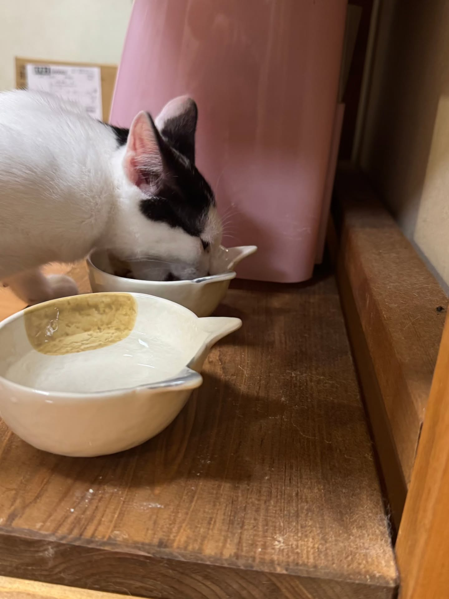 新しい日々の始まり