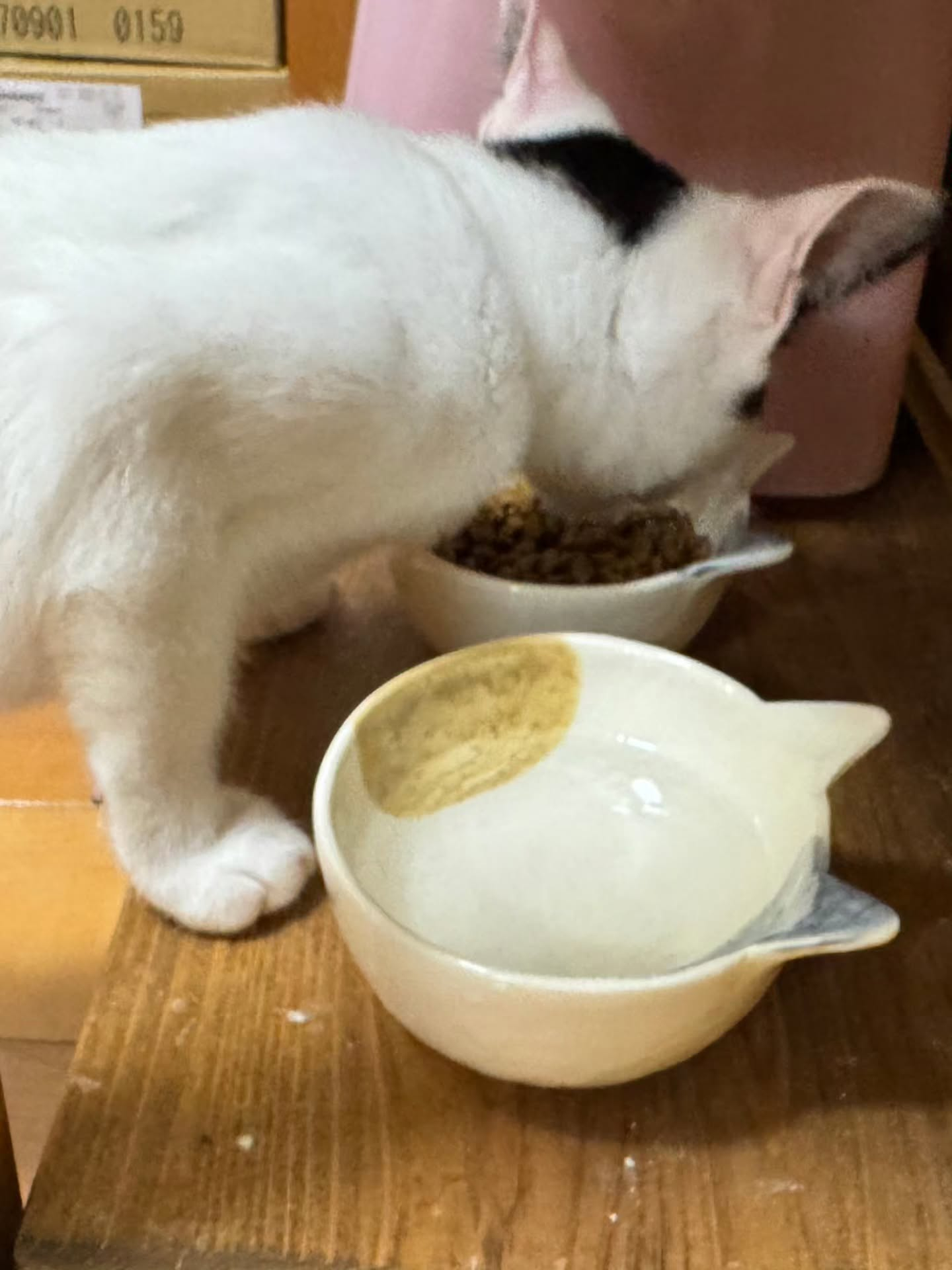 新しい日々の始まり