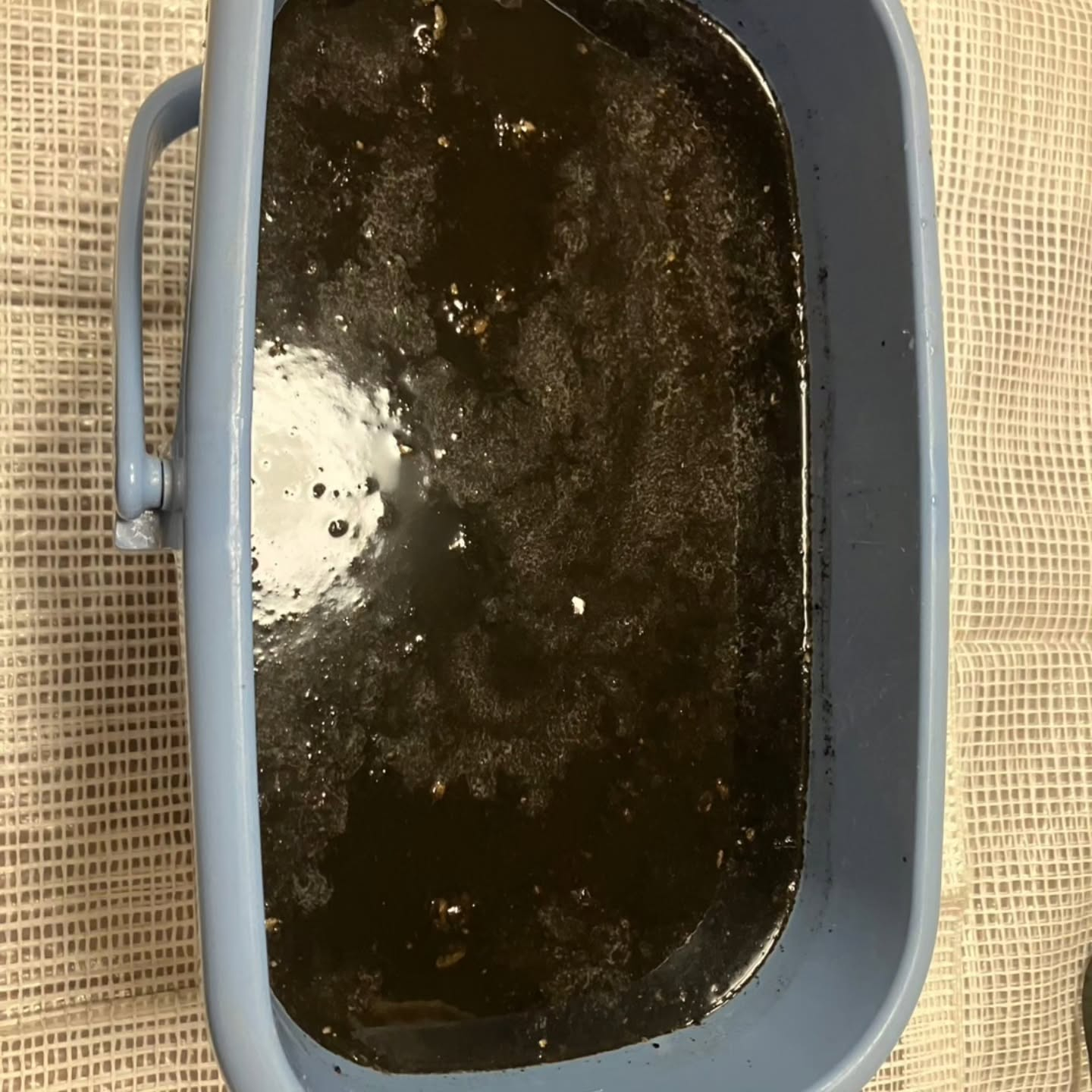 エアコンのすぐそばにネコちゃんのトイレを置くと、問題が発生す...
