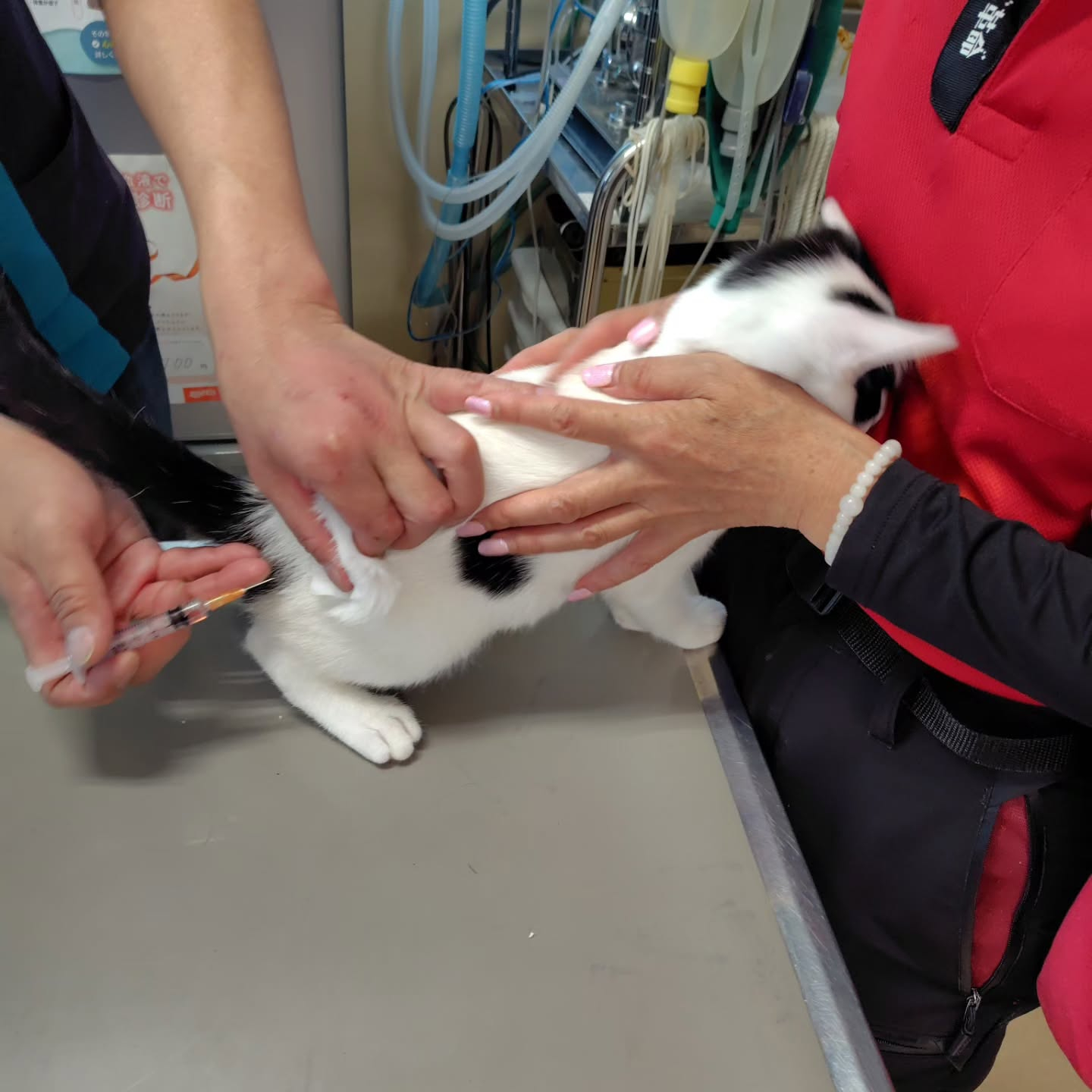 今日は特別なお知らせがあります！