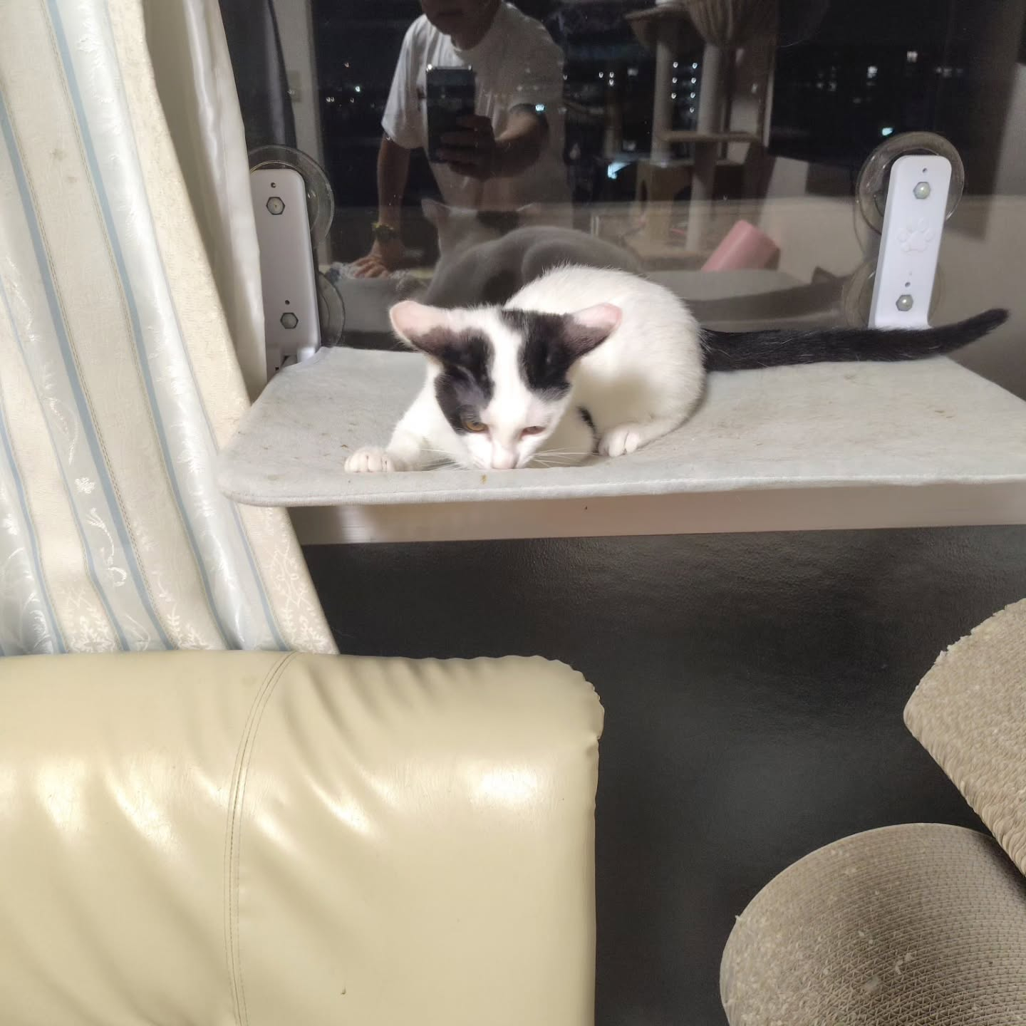 今日は特別なお知らせがあります！