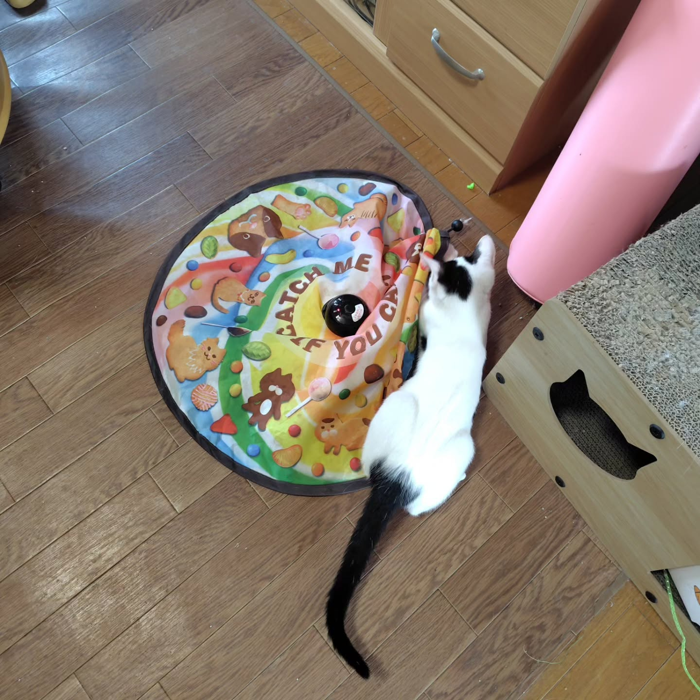 今日、新しいドアが開かれました。