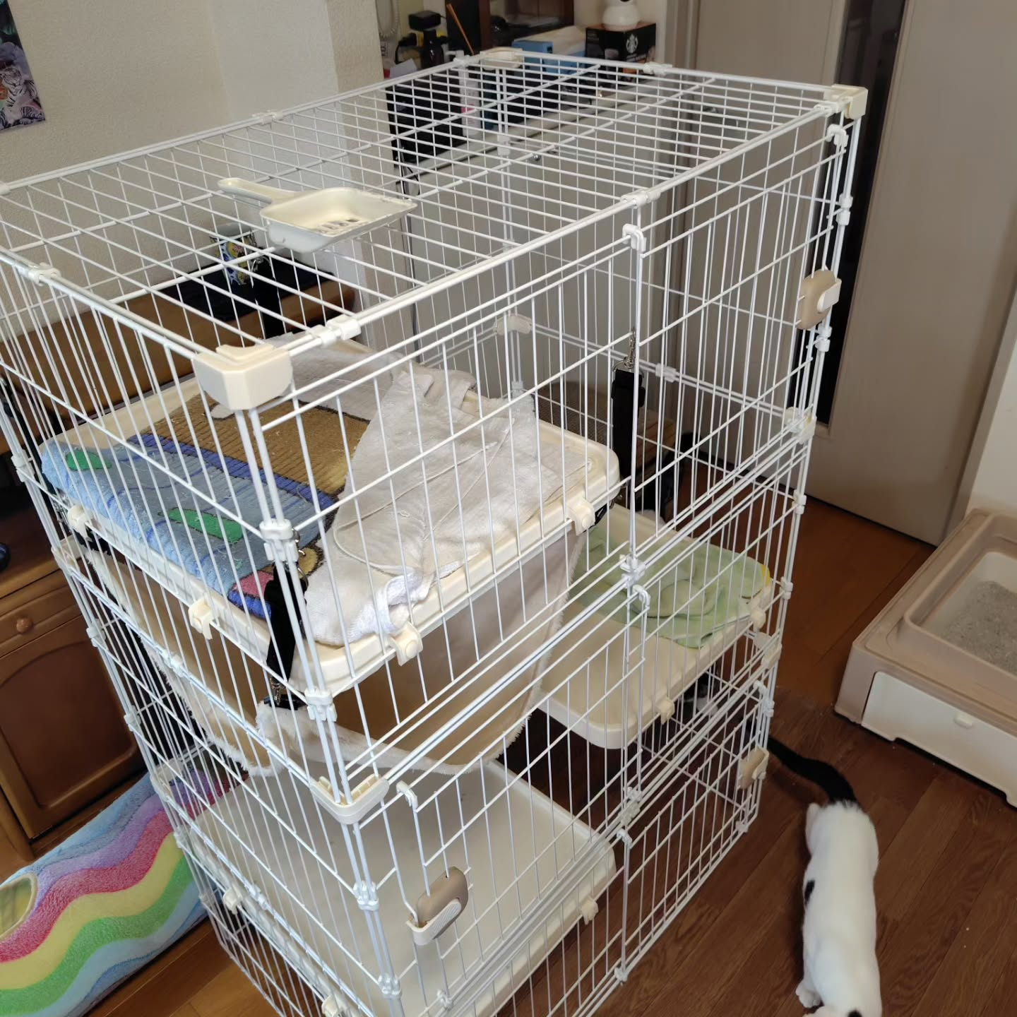 今日、新しいドアが開かれました。
