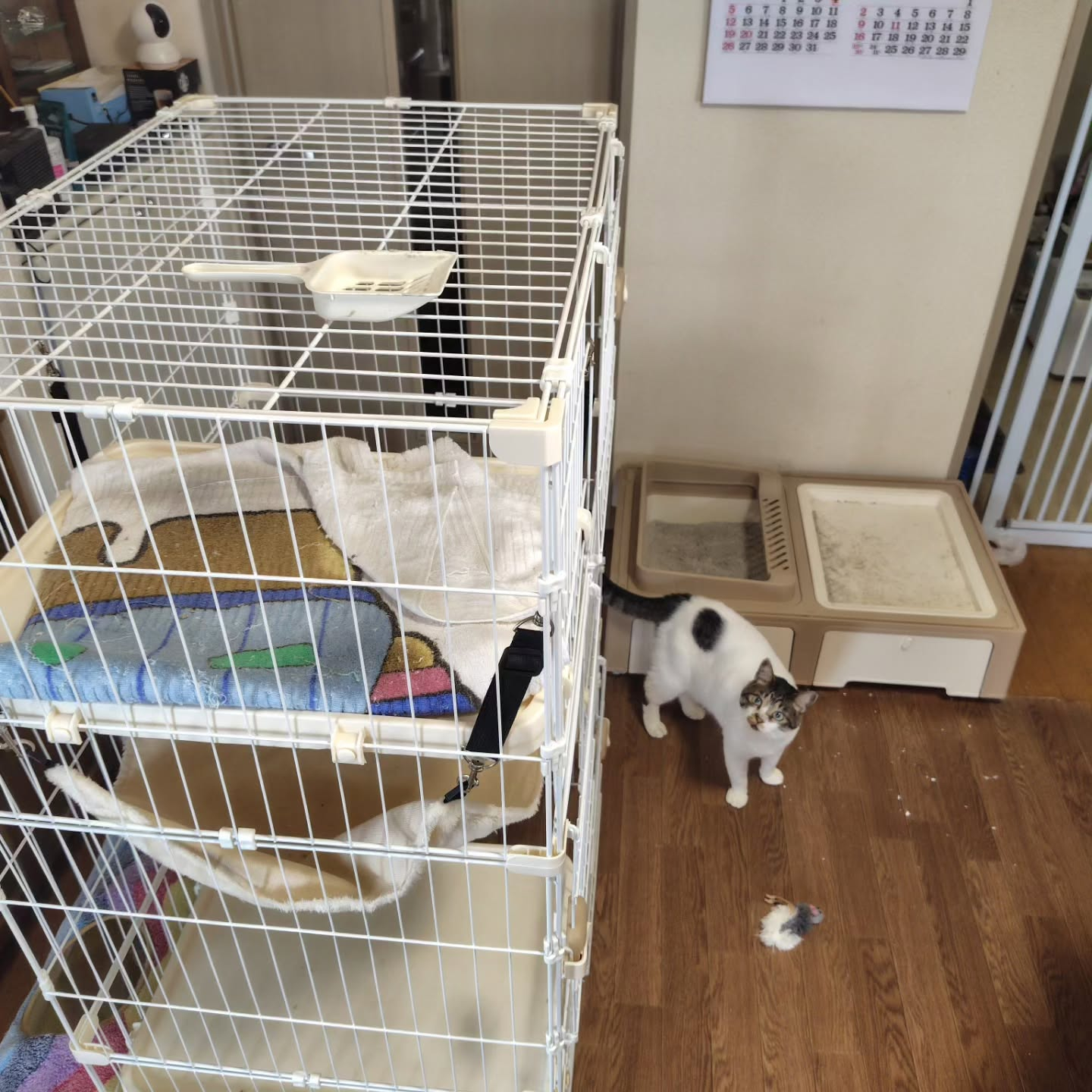今日、新しいドアが開かれました。