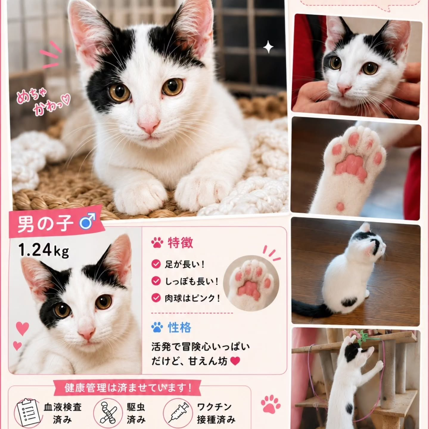 今日、新しいドアが開かれました。