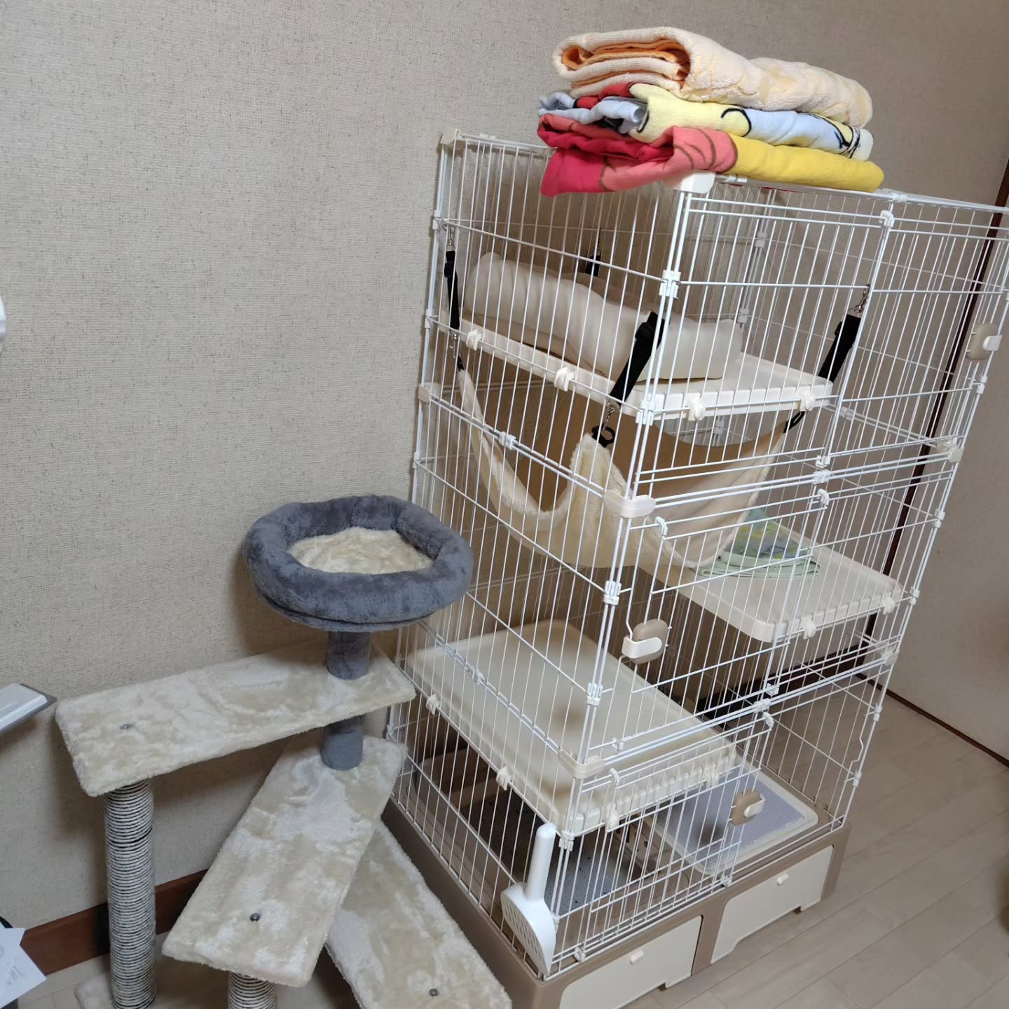 モカ君の冒険は新たな幕を開けました。