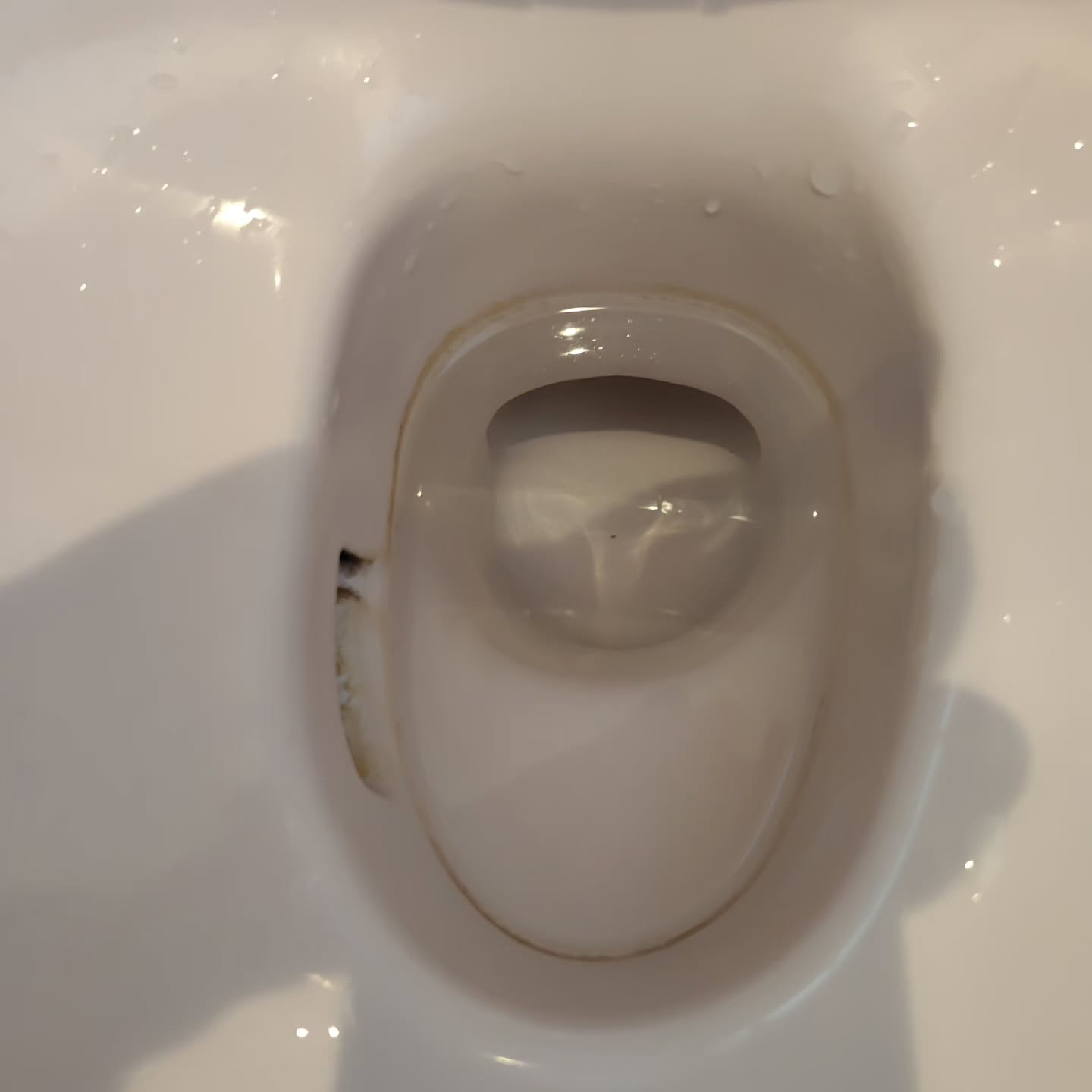 トイレ掃除が苦手でも、効率的にできる方法をご紹介します。