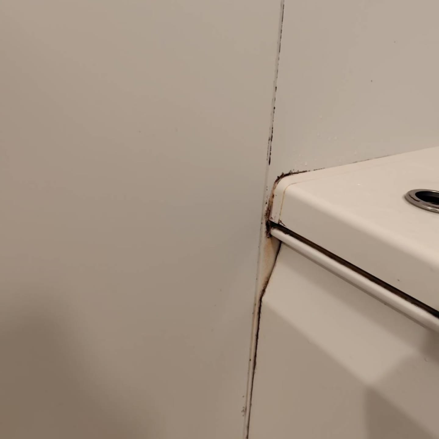 湿気の多い気候での課題。