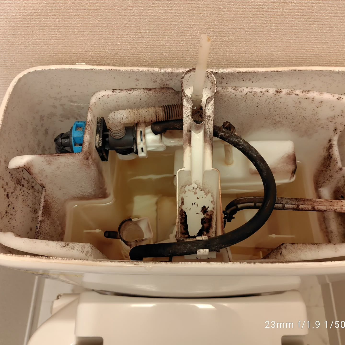 家中をすっきりキレイに保ちましょう。