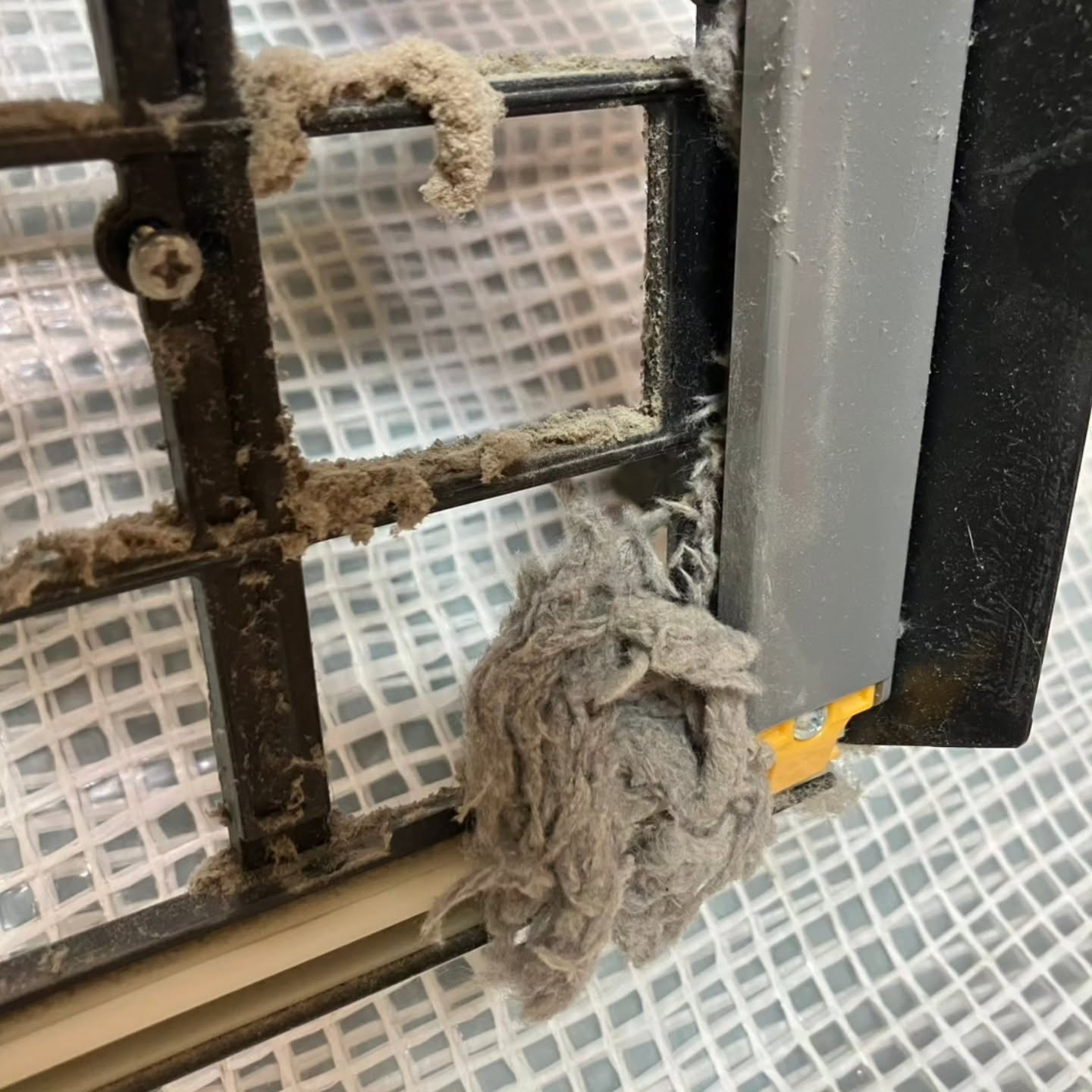 エアコンの内部清掃、していますか?